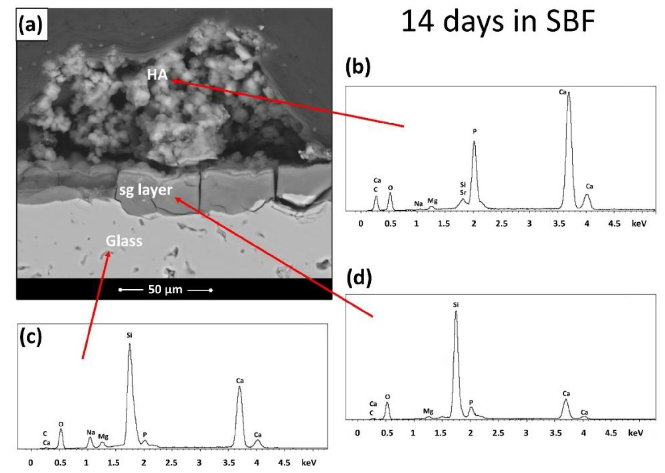Materials 15 06263 g004