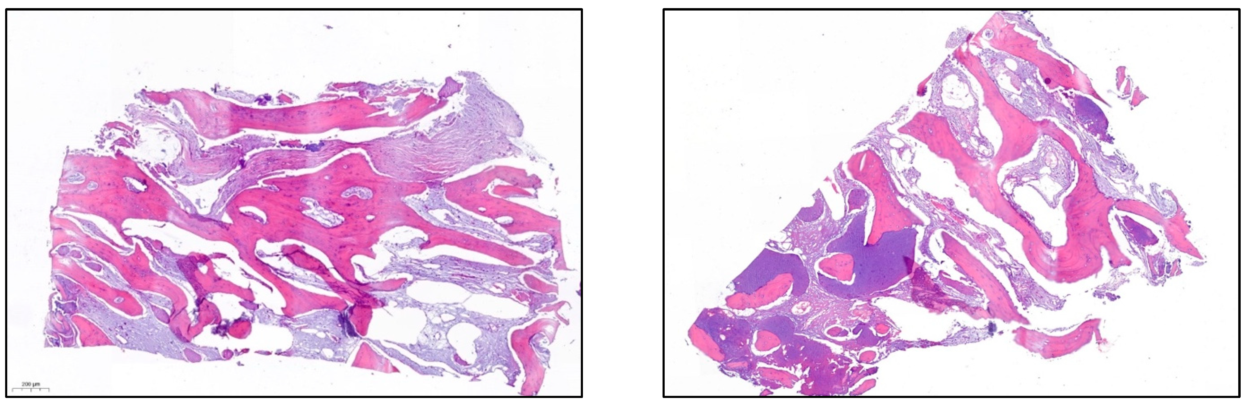 Materials 15 06271 g012