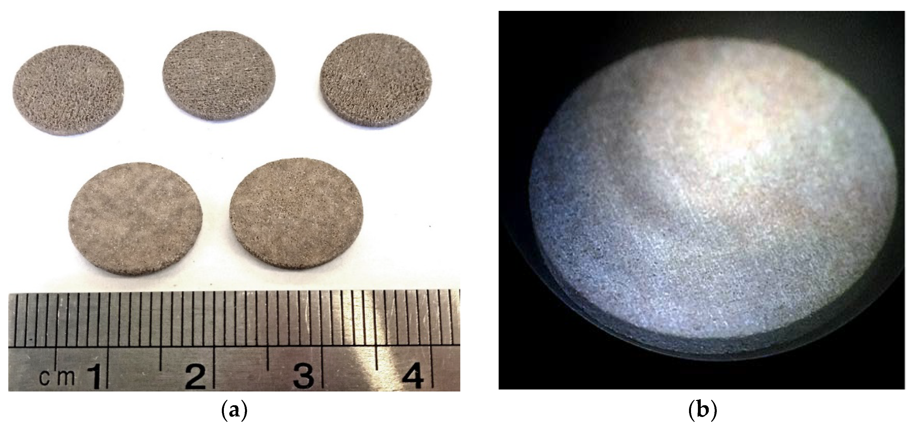 Materials 15 06289 g008