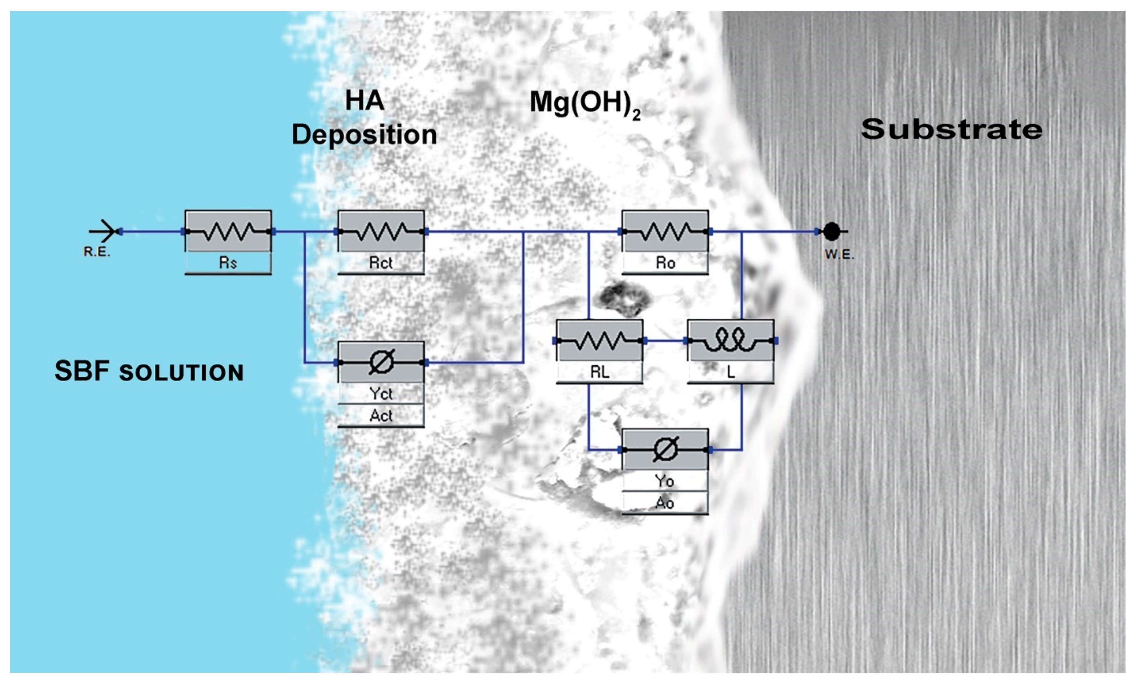 Materials 15 06327 g007