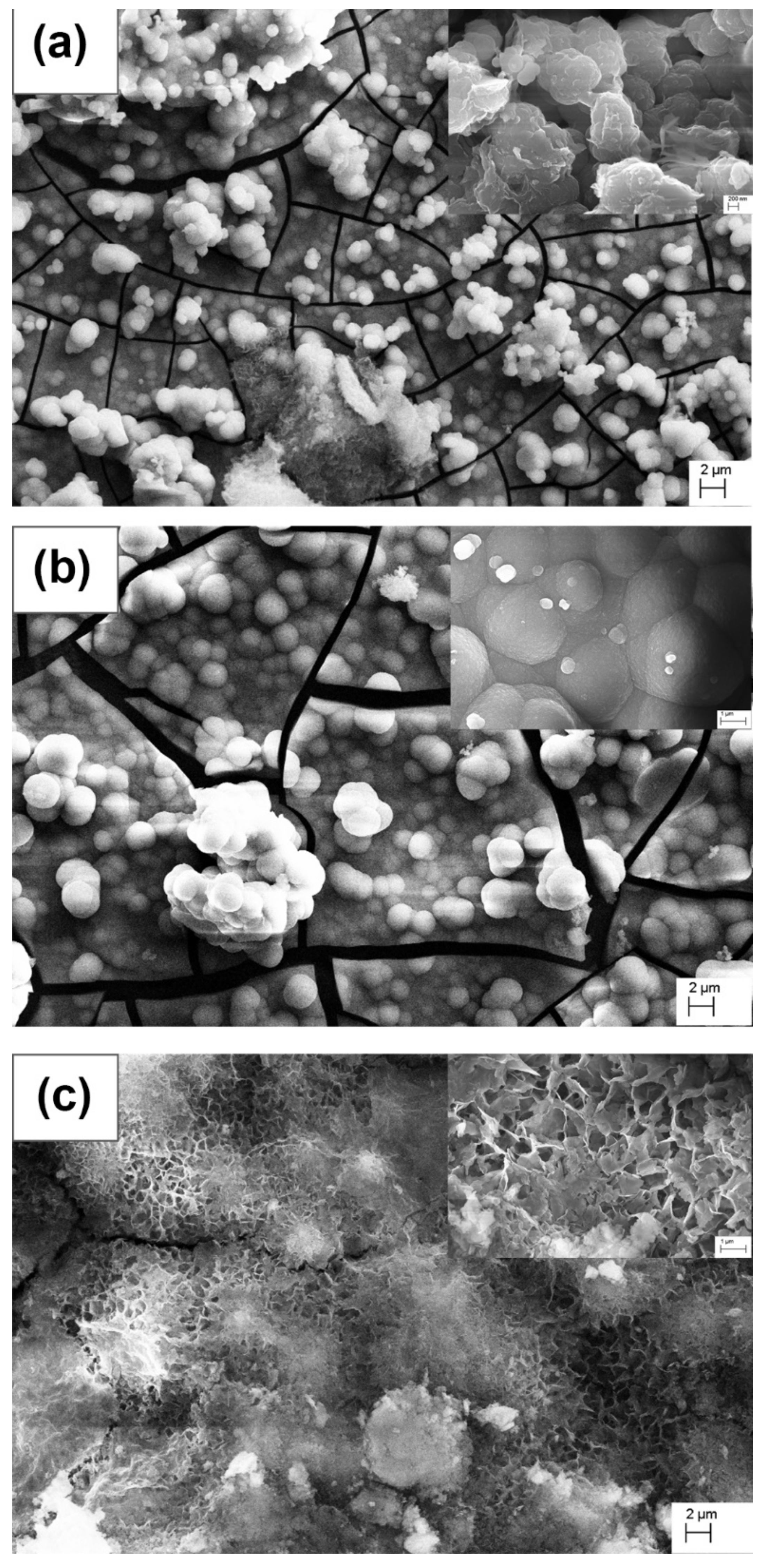 Materials 15 06327 g010