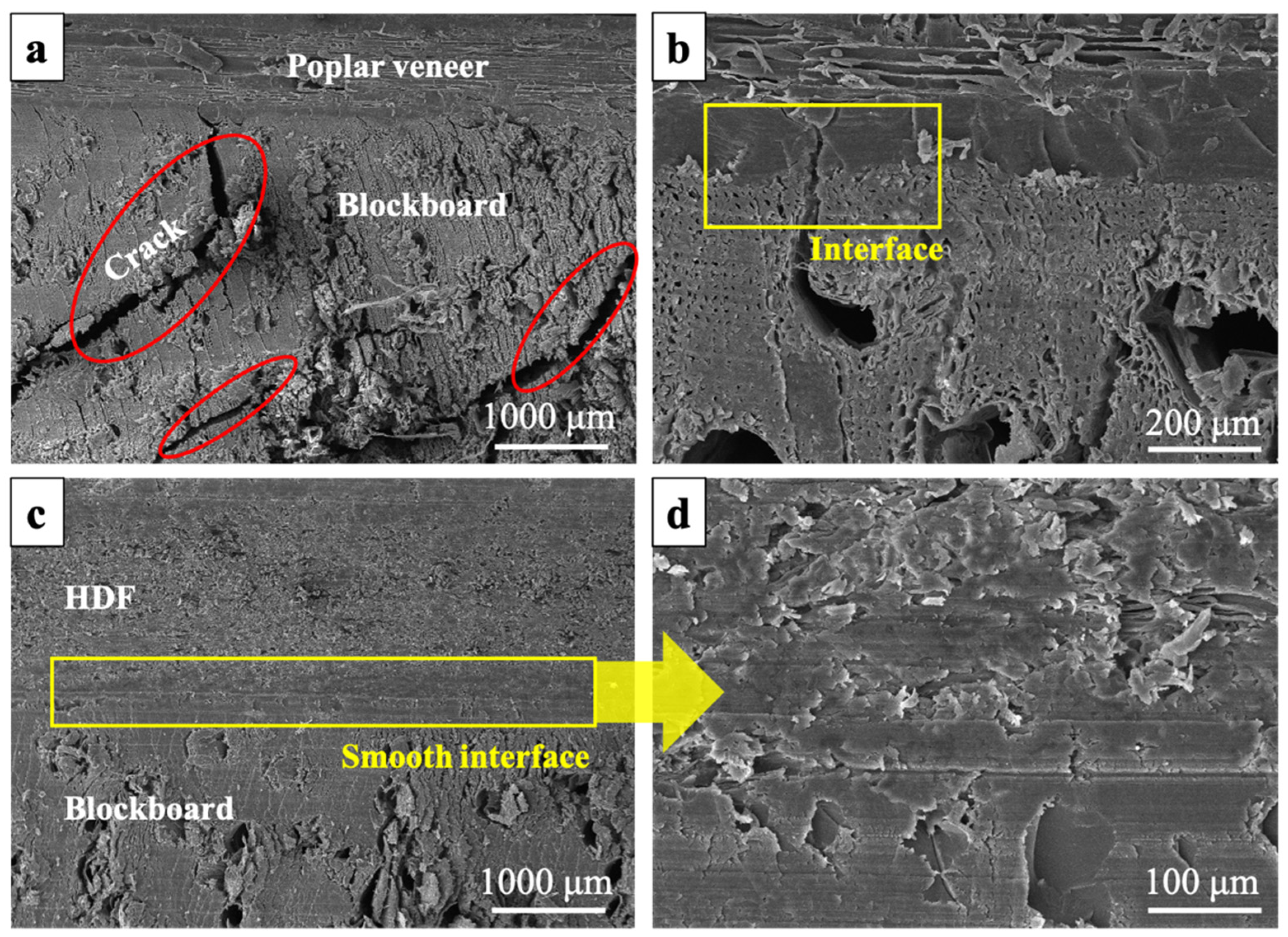 Materials 15 06342 g003