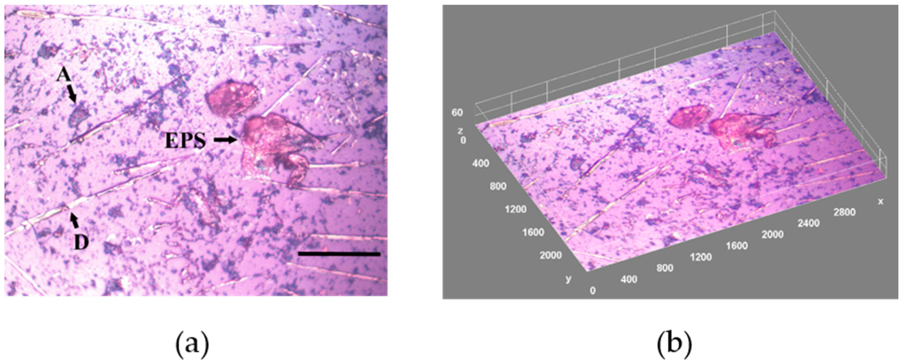 Materials 15 06351 g002