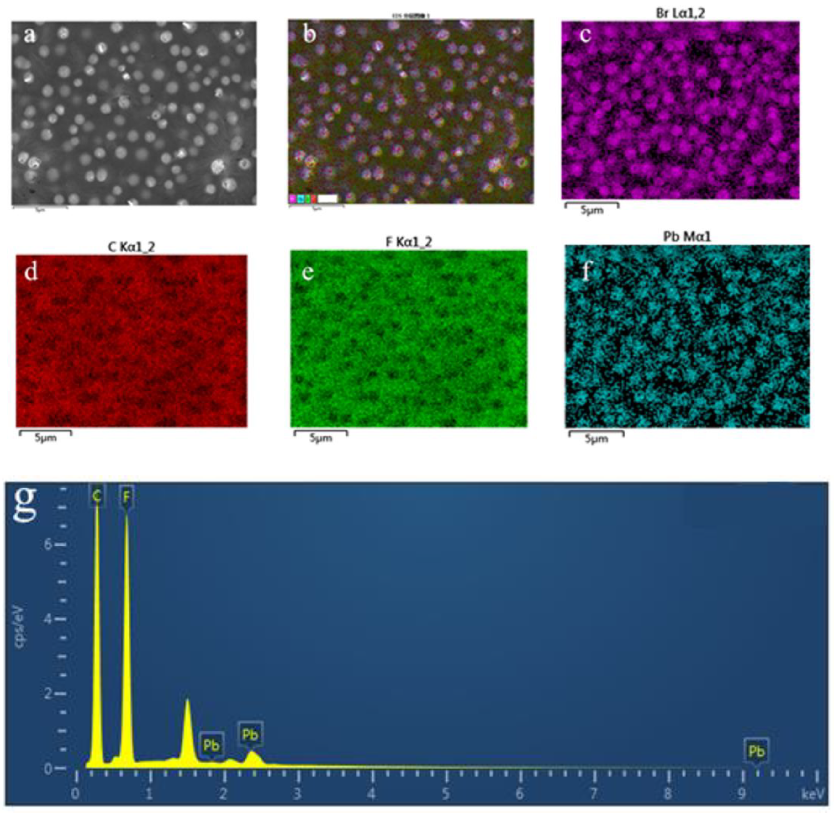 Materials 15 06378 g002