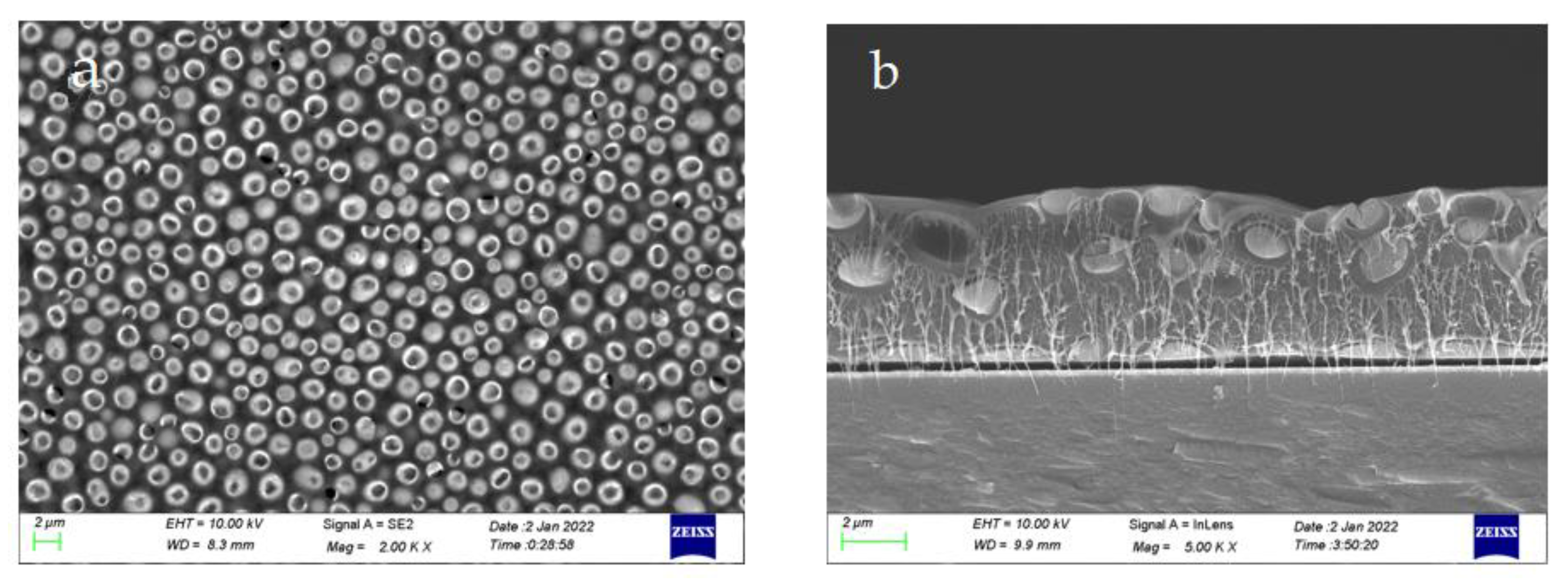 Materials 15 06378 g004
