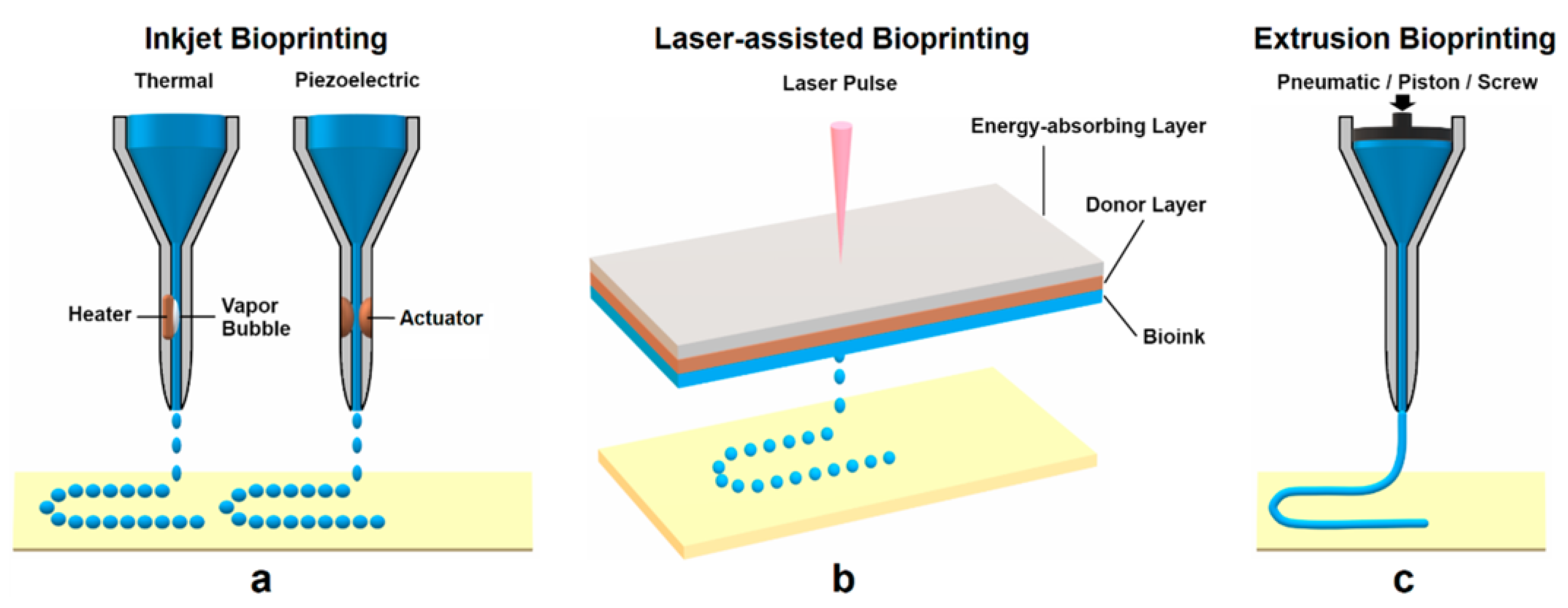 Materials 15 06398 g001