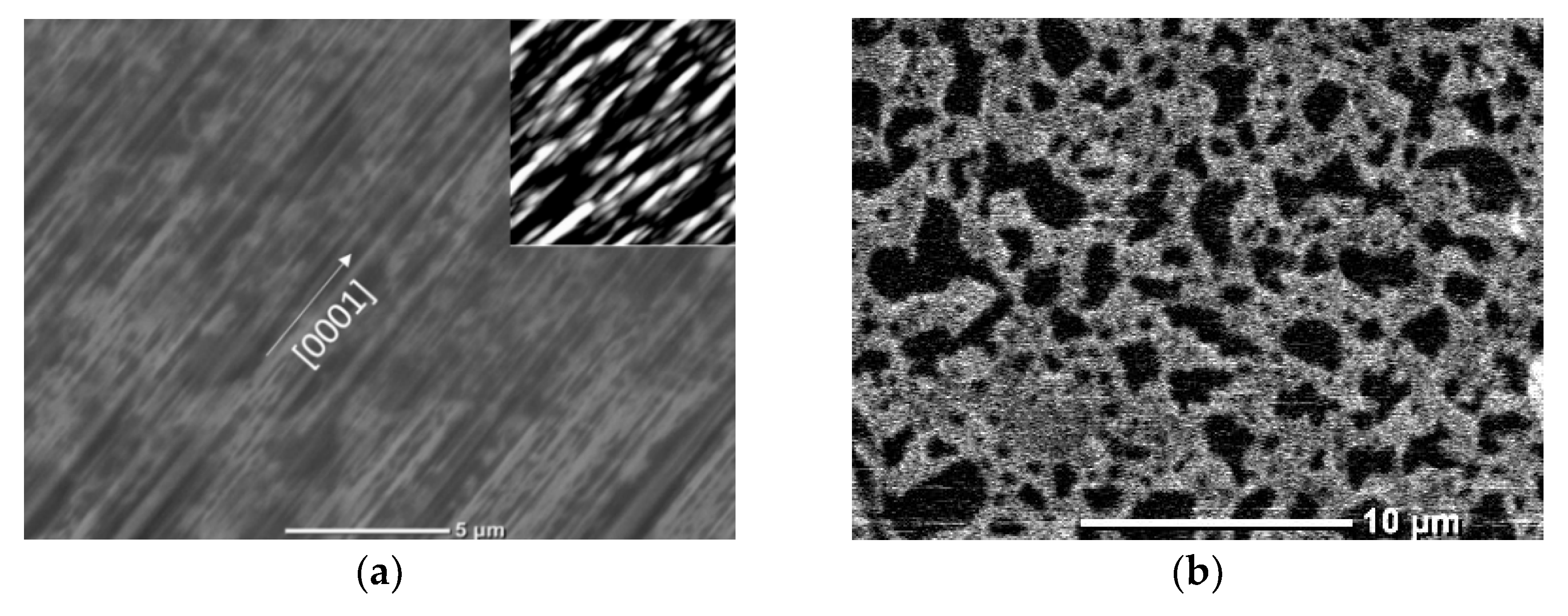 Materials 15 06409 g001a