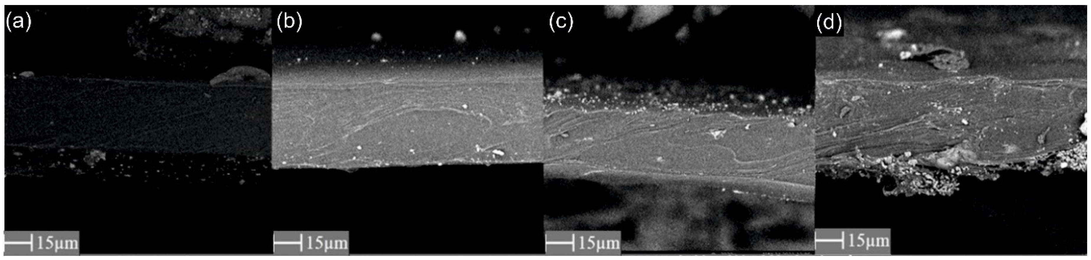 Materials 15 06455 g006