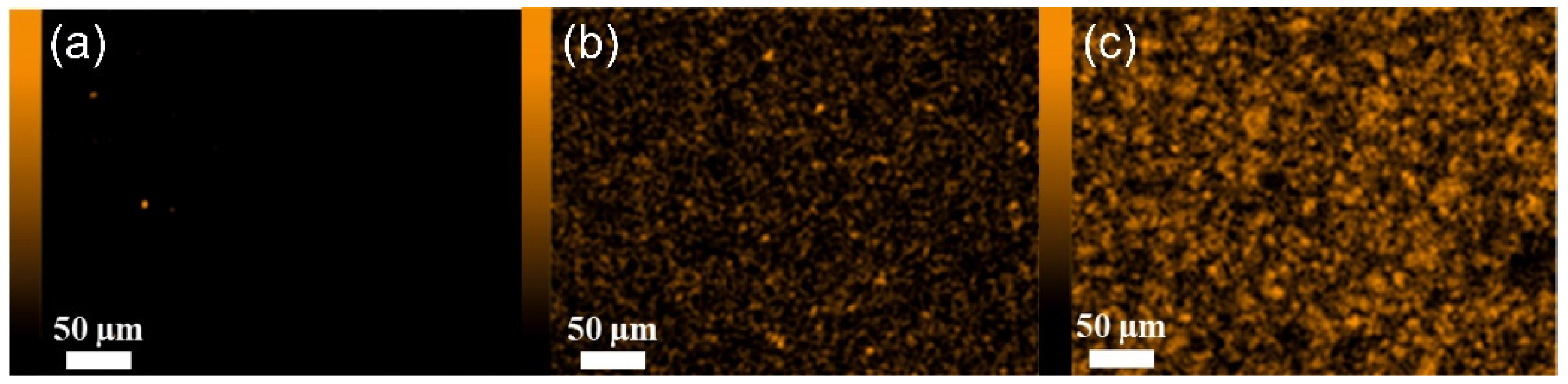 Materials 15 06455 g008