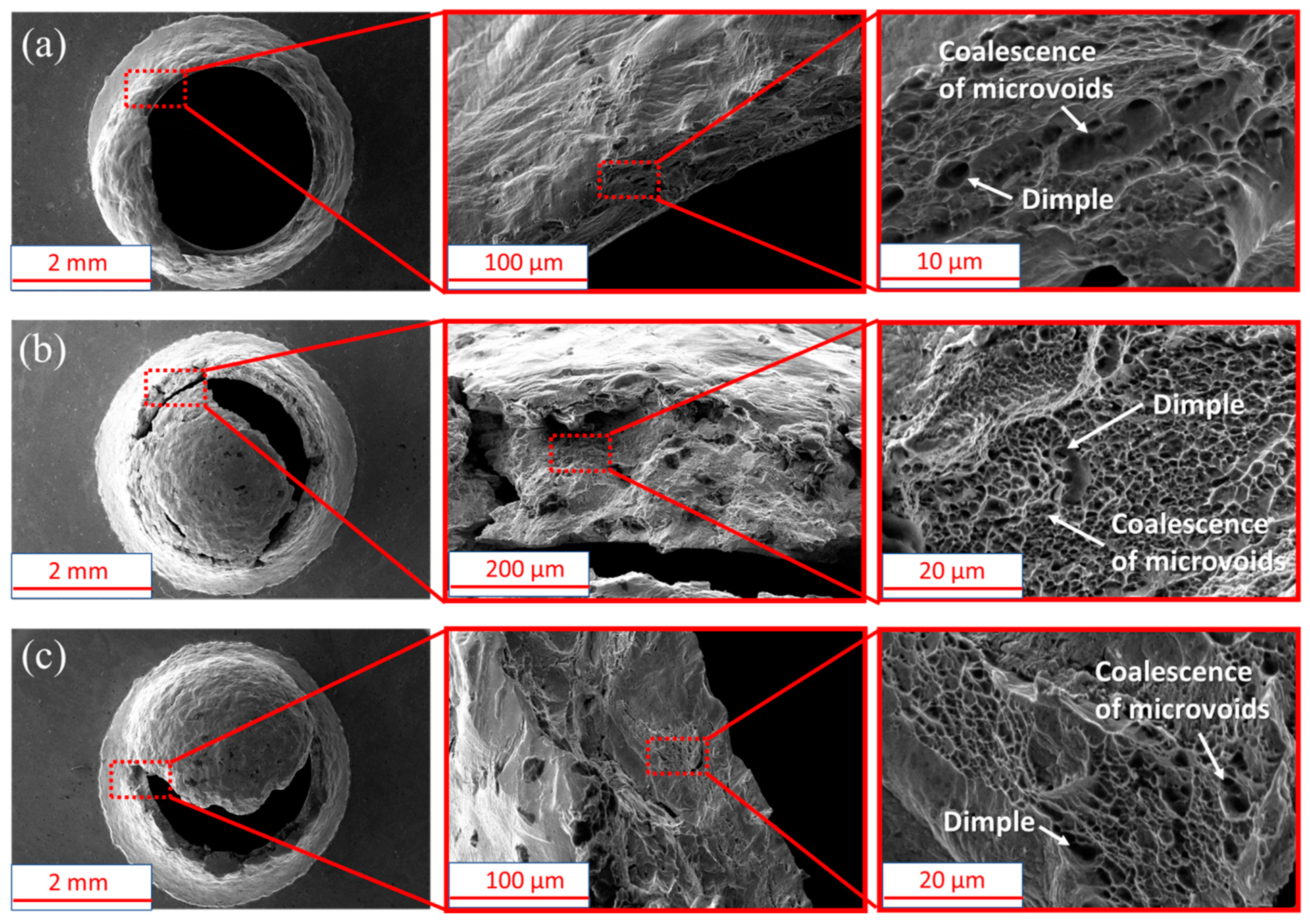 Materials 15 06542 g008