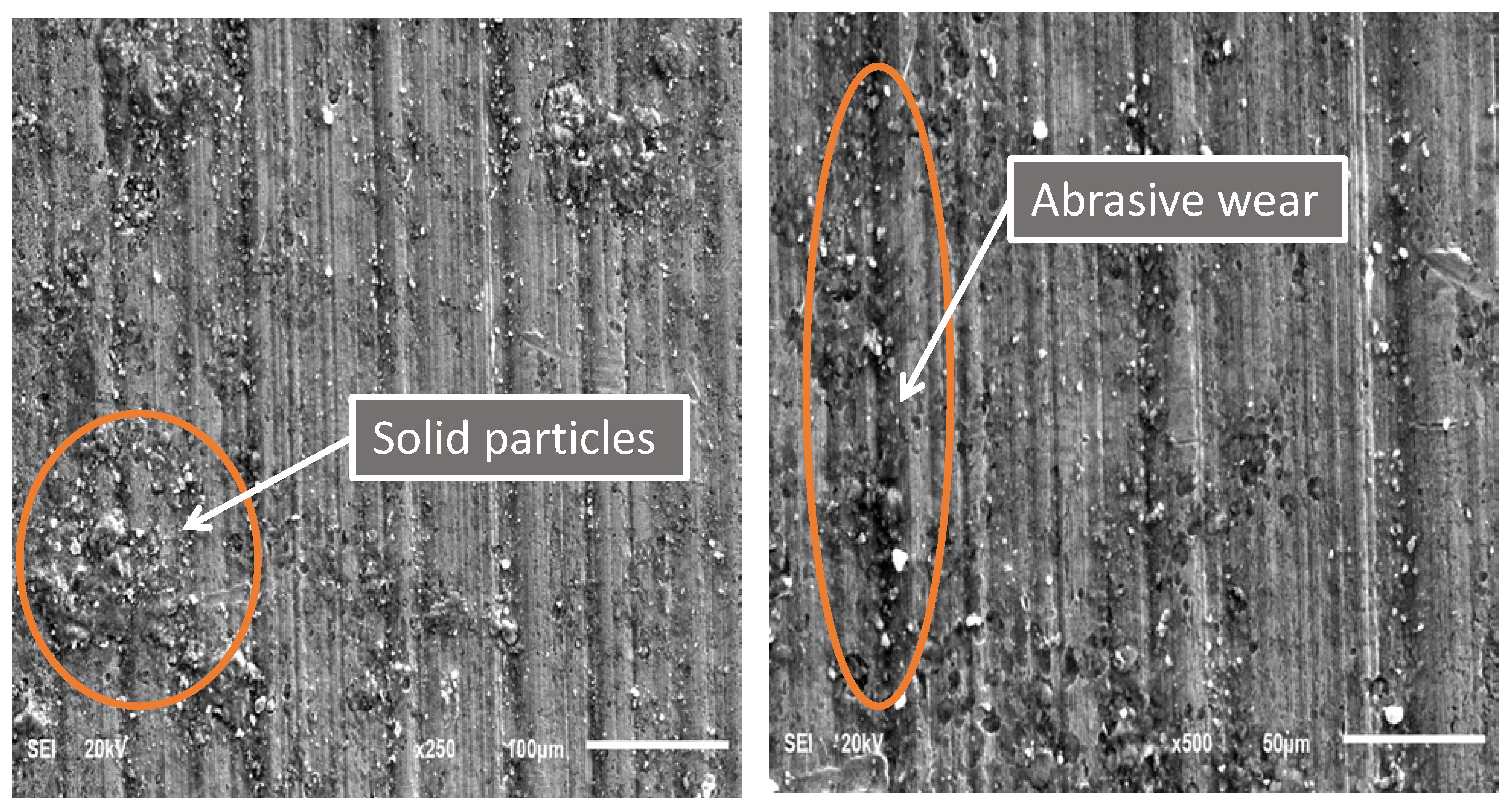 Materials 15 06544 g010