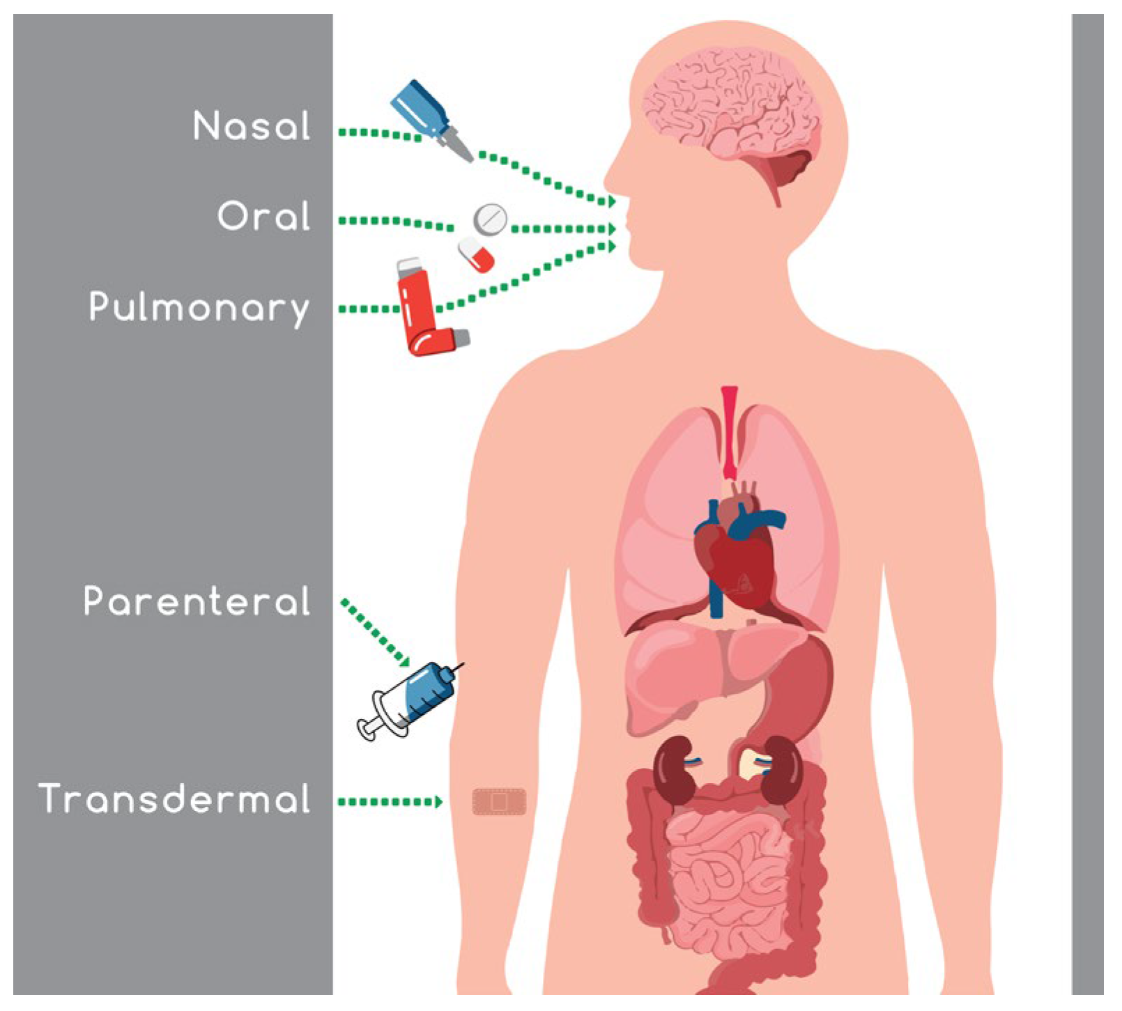 Materials 15 06547 g001
