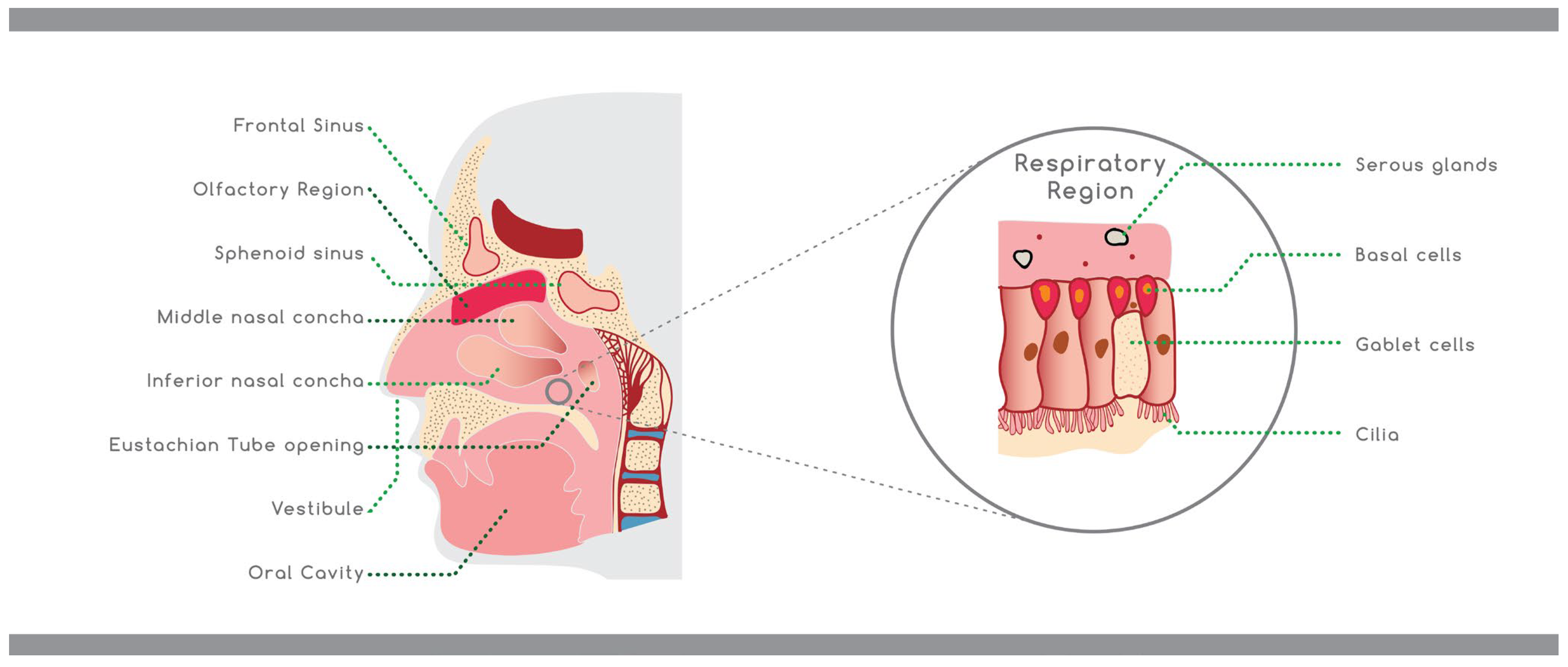 Materials 15 06547 g002