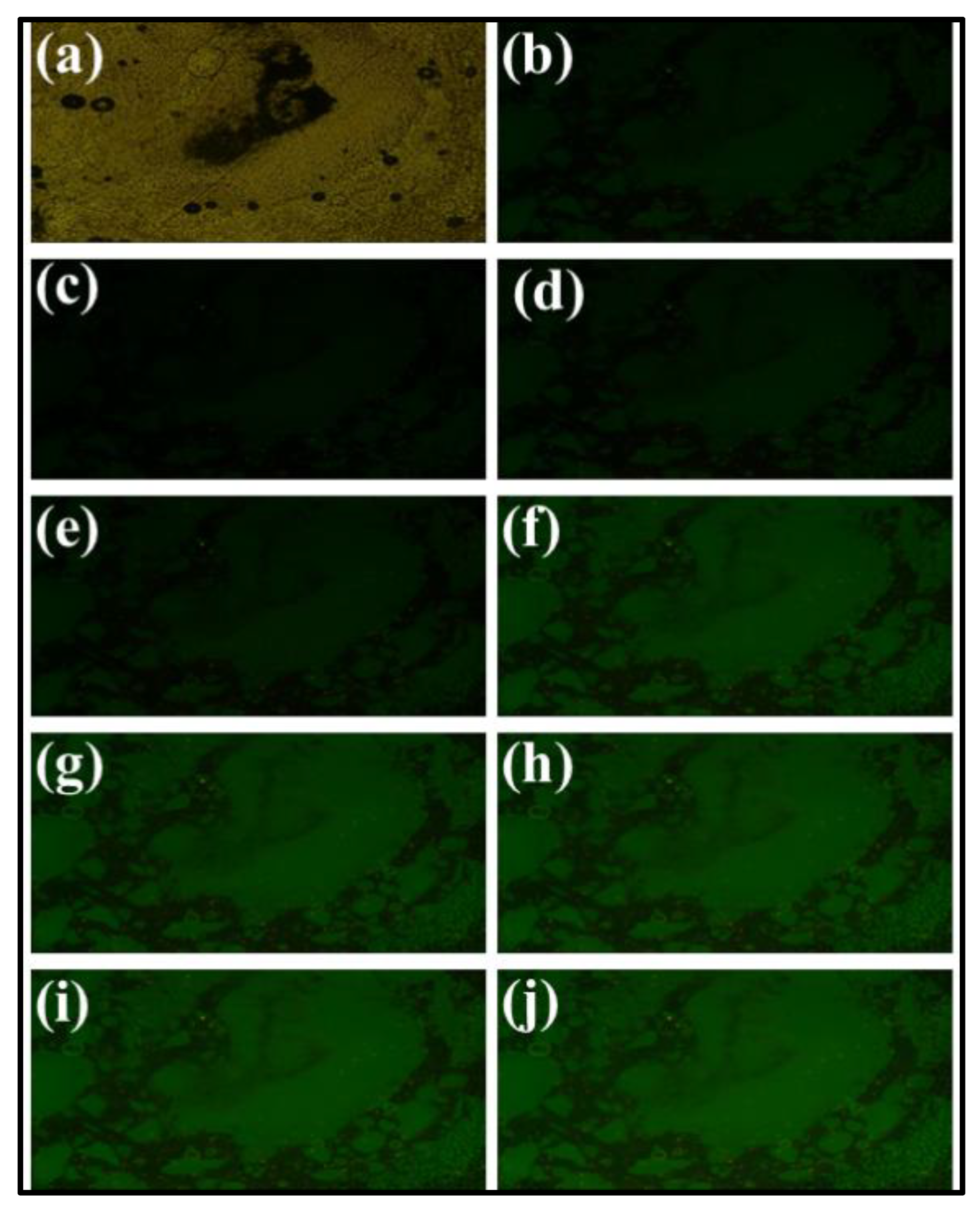 Materials 15 06563 g006