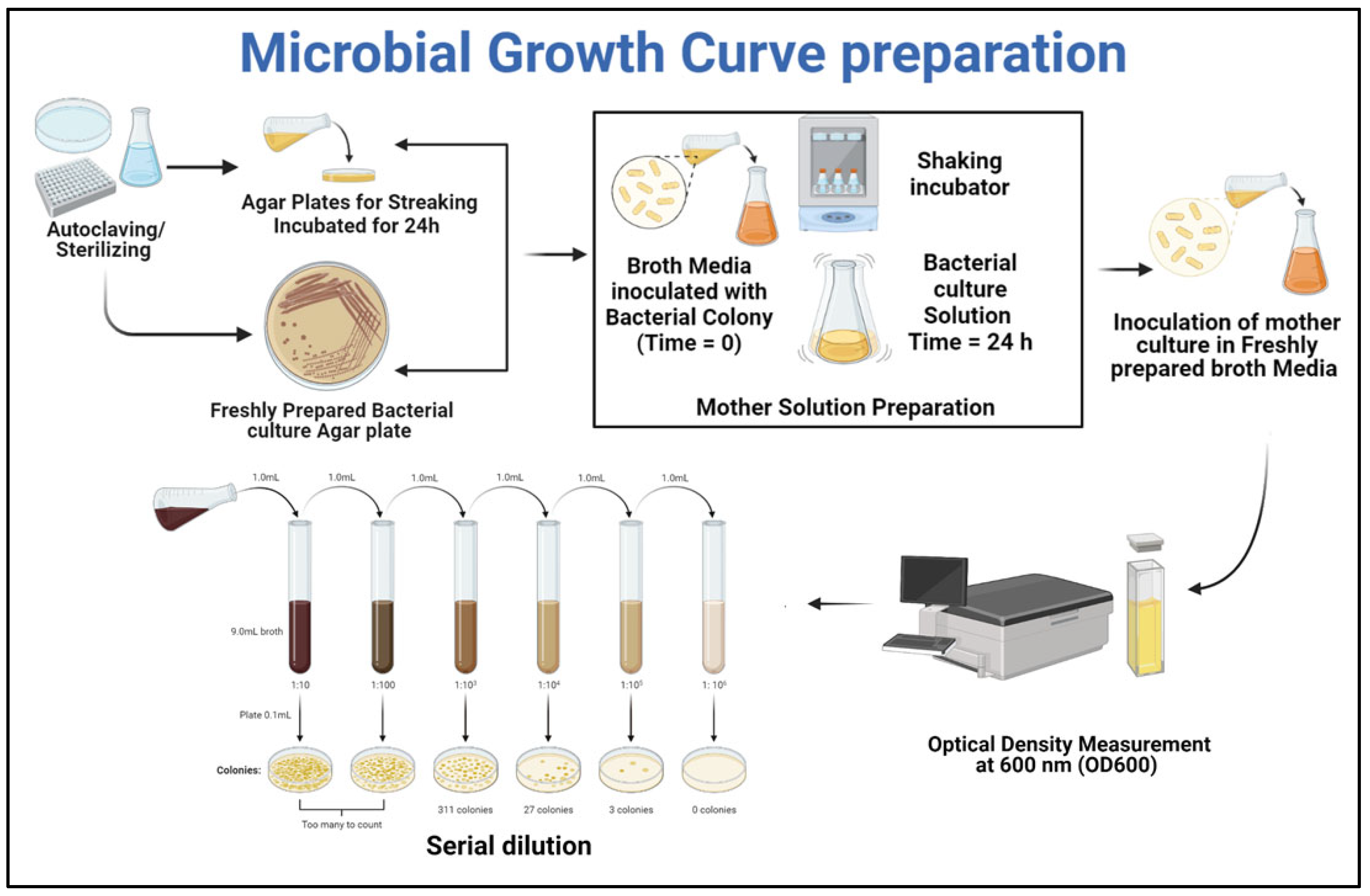Materials 15 06616 g001