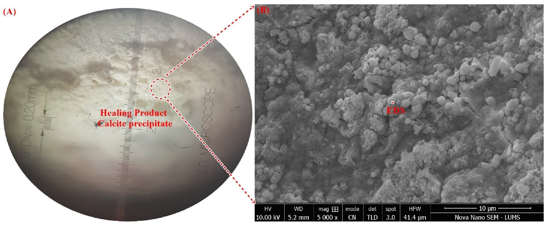 Materials 15 06616 g017a