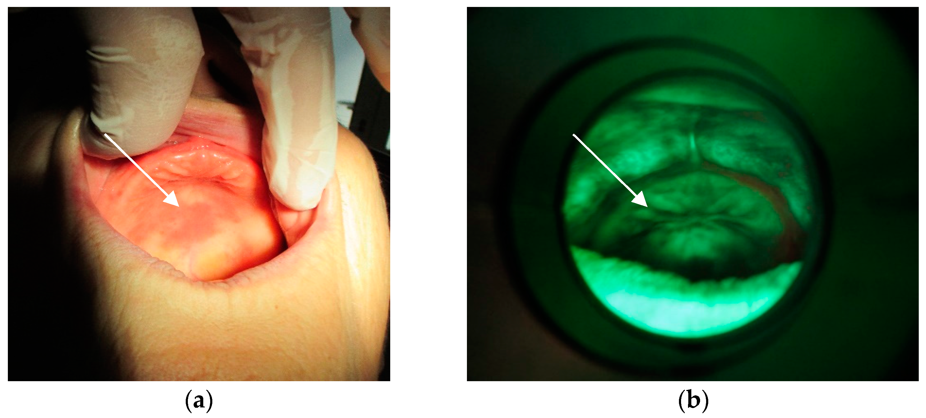 Materials 15 06633 g008