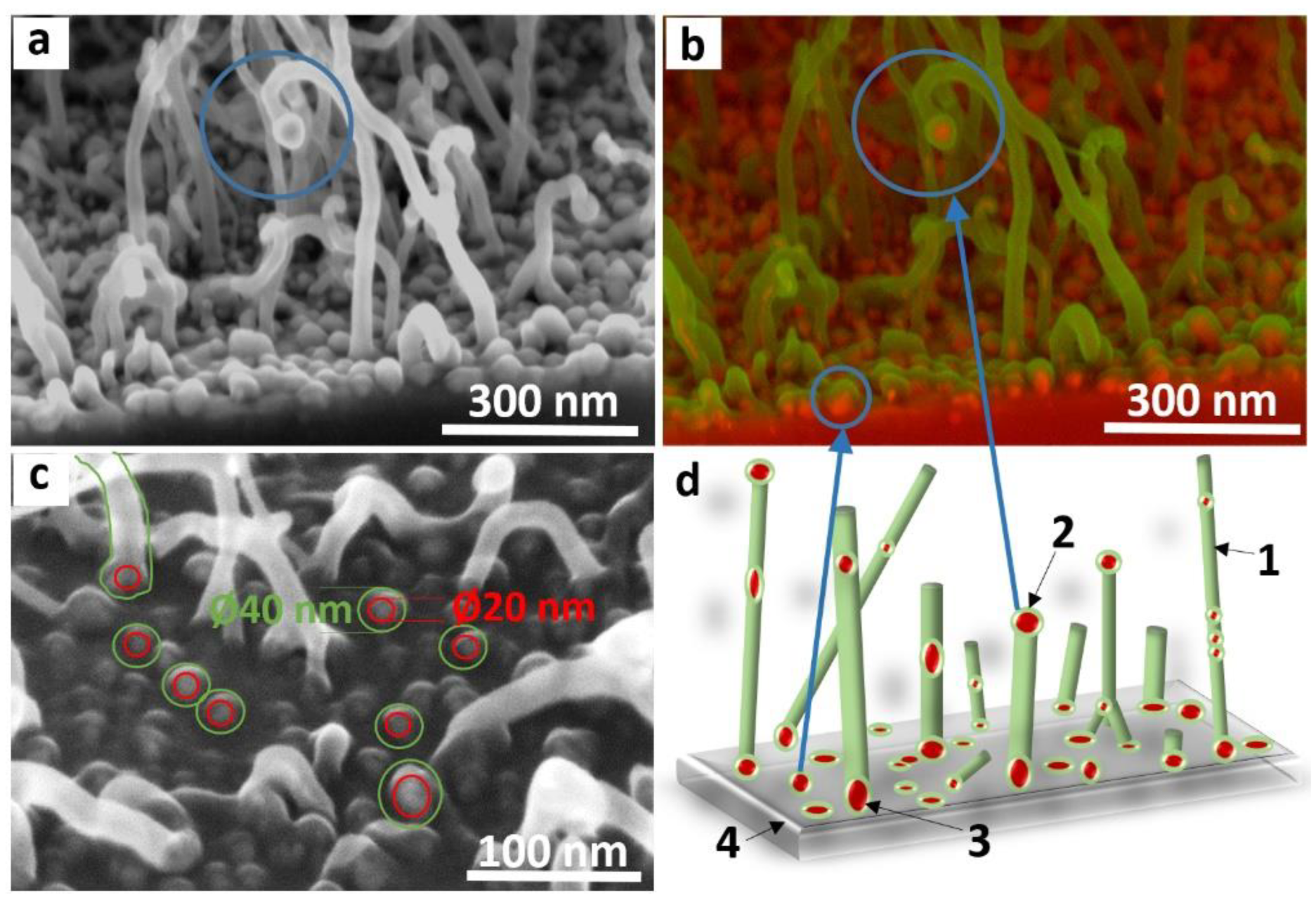 Materials 15 06639 g005