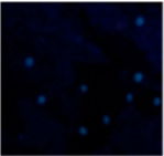 Materials 15 06671 i018 Materials 15 06671 i018