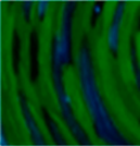 Materials 15 06671 i035 Materials 15 06671 i035