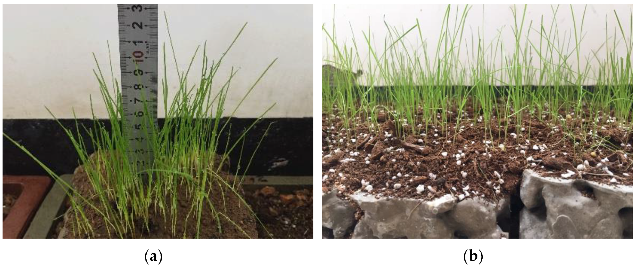 Materials 15 06685 g013