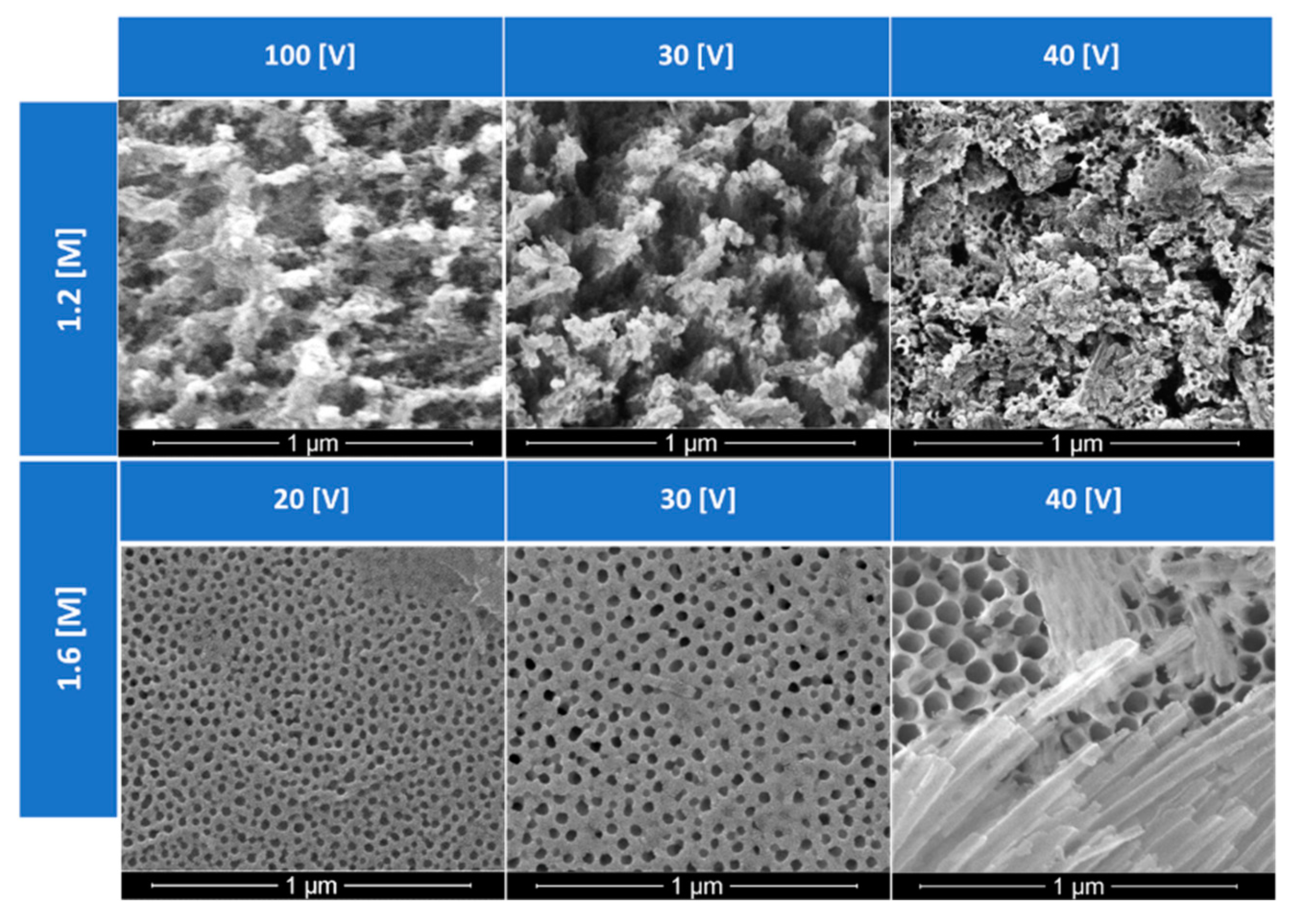 Materials 15 06691 g005