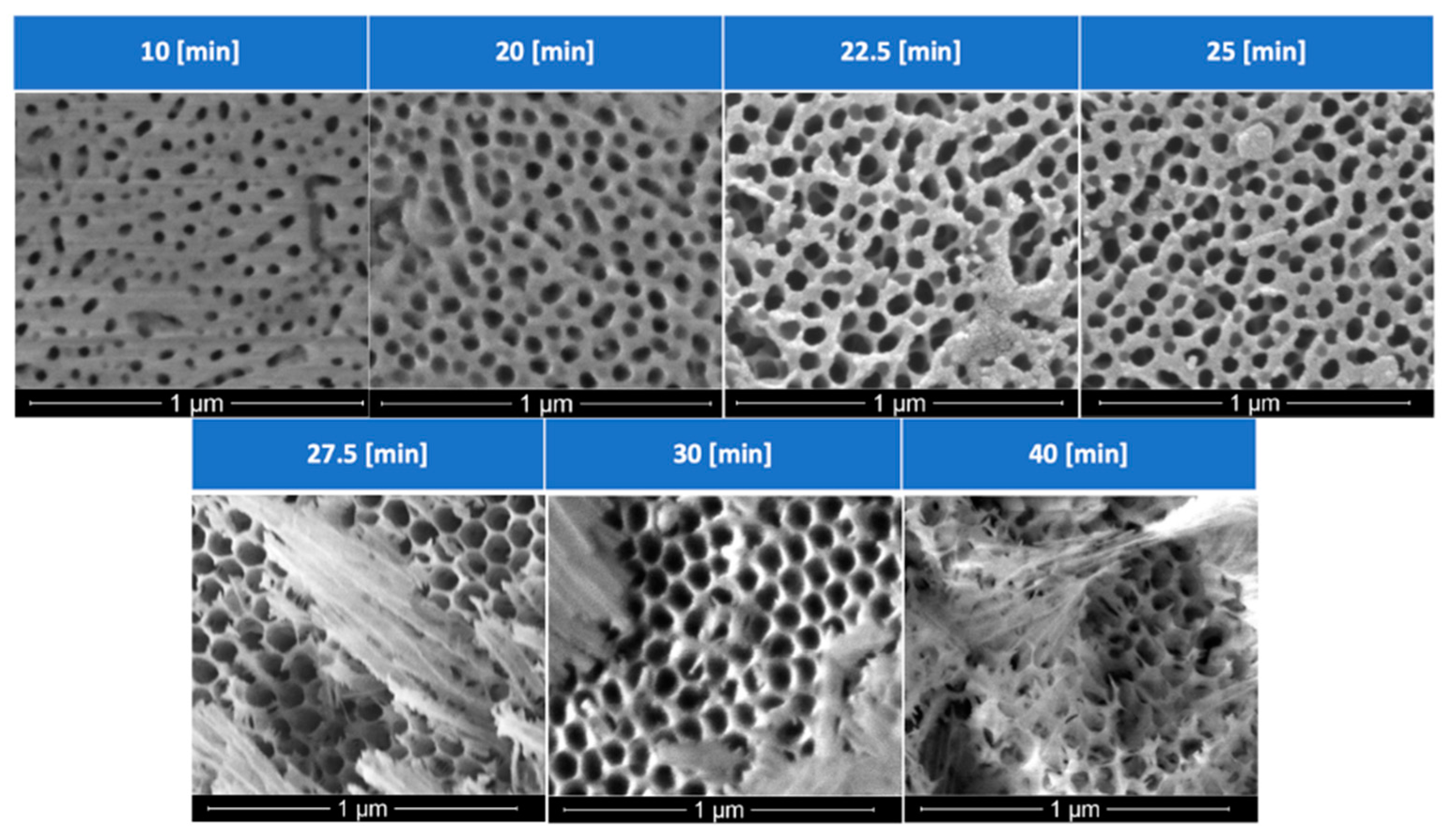 Materials 15 06691 g006