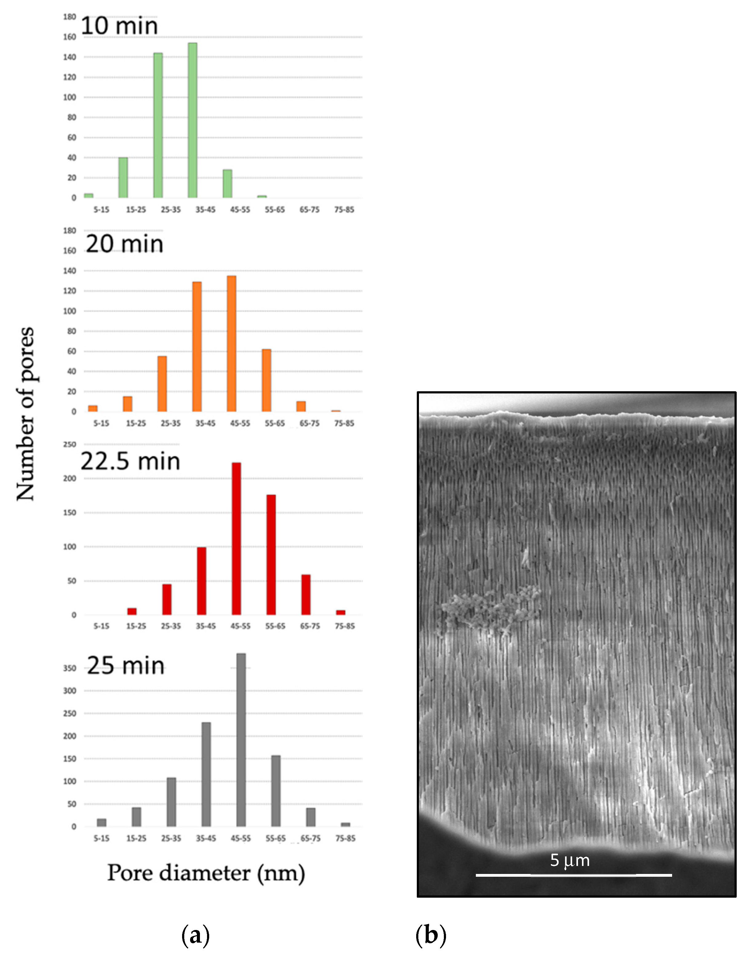 Materials 15 06691 g007