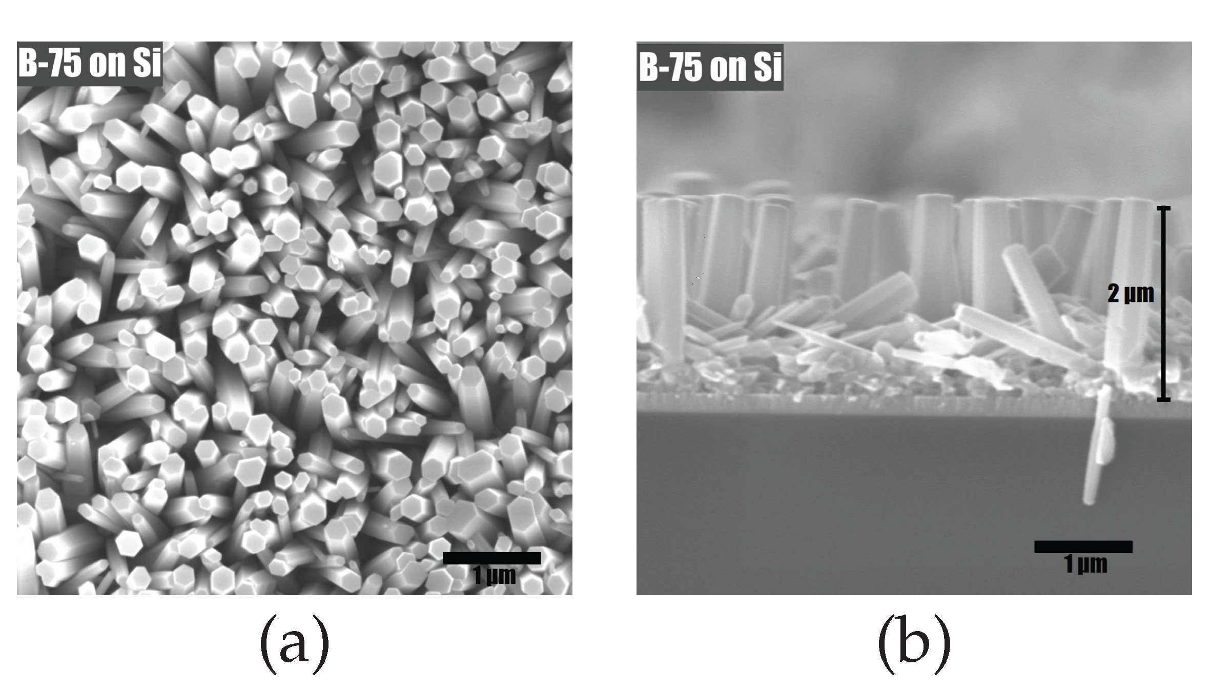 Materials 15 06767 g006