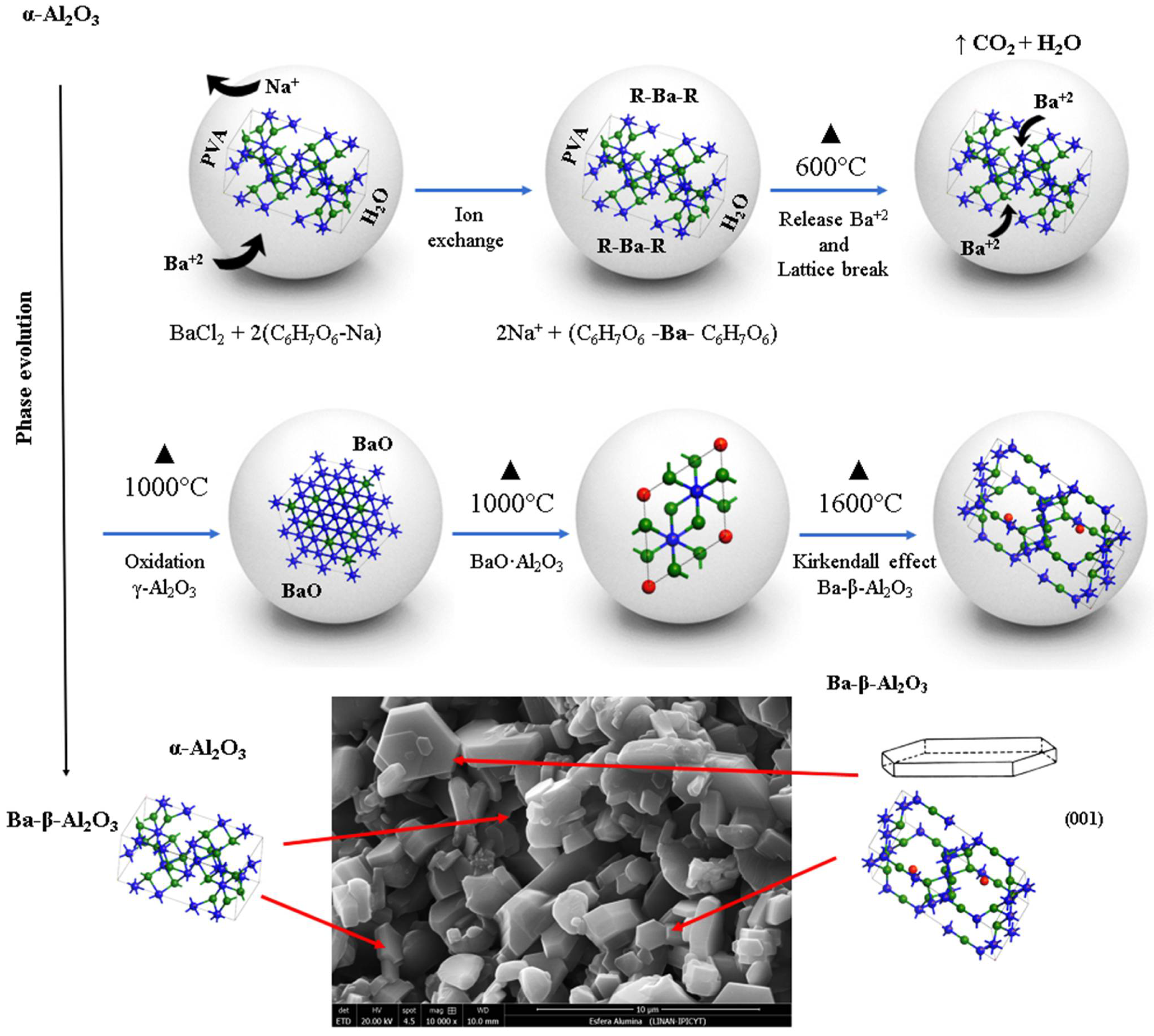 Materials 15 06809 g005