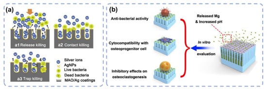 Materials 15 06868 g005