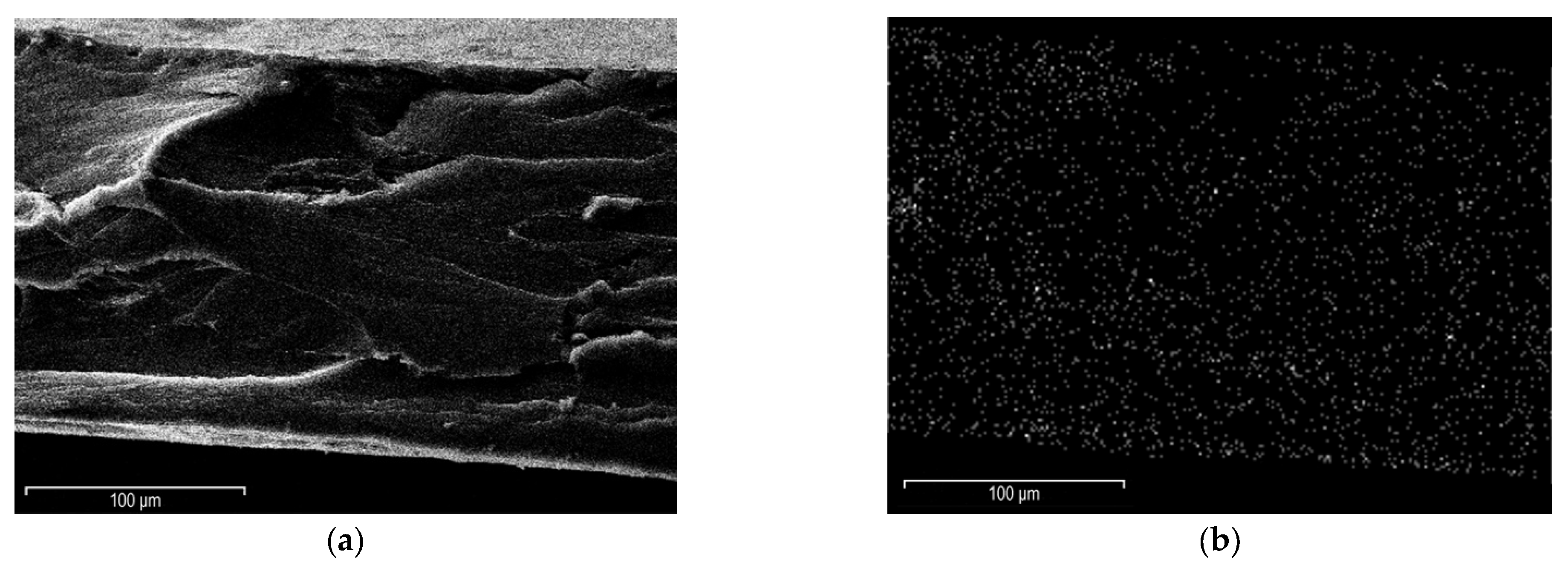 Materials 15 06883 g003