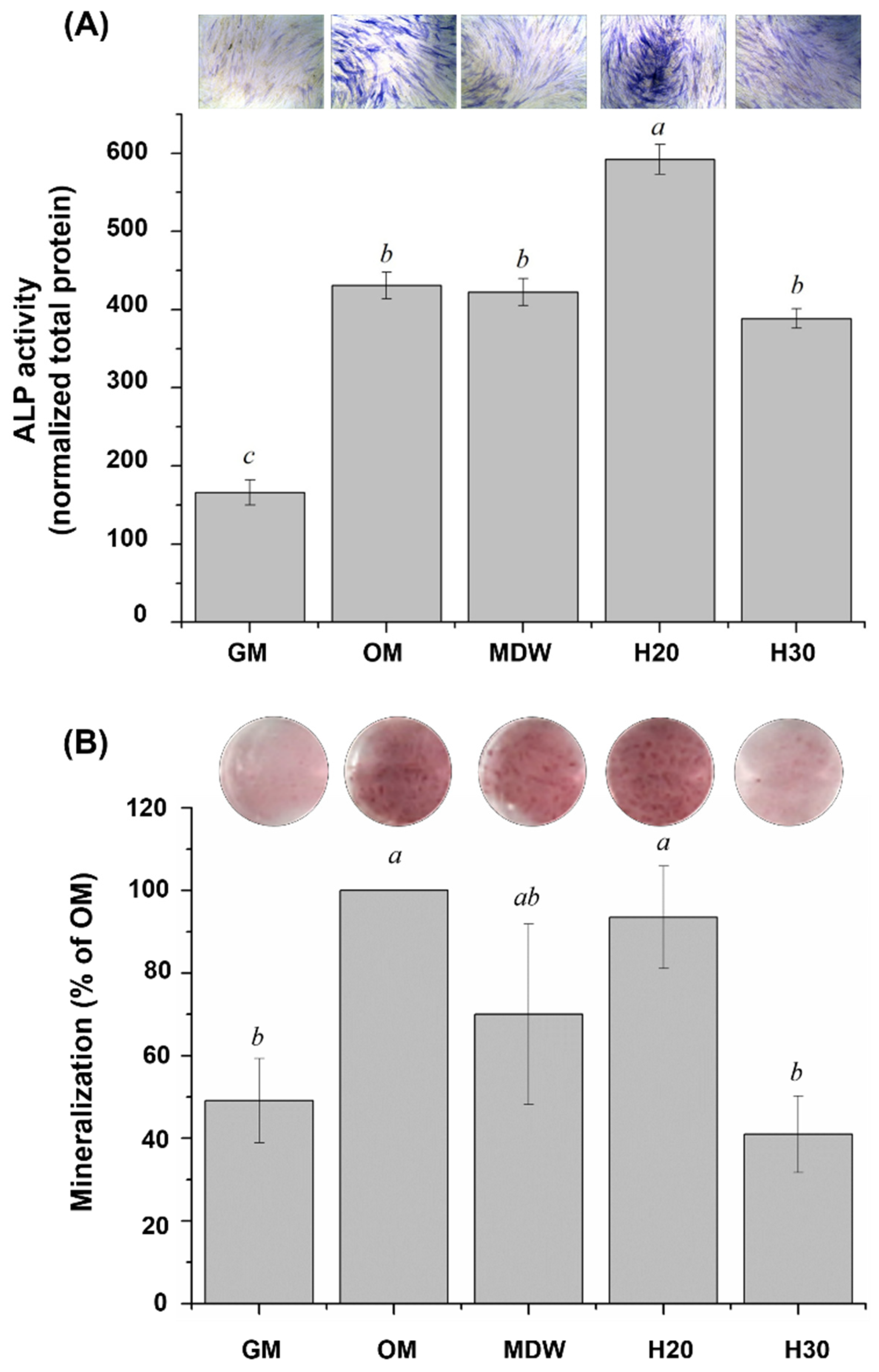Materials 15 06919 g005