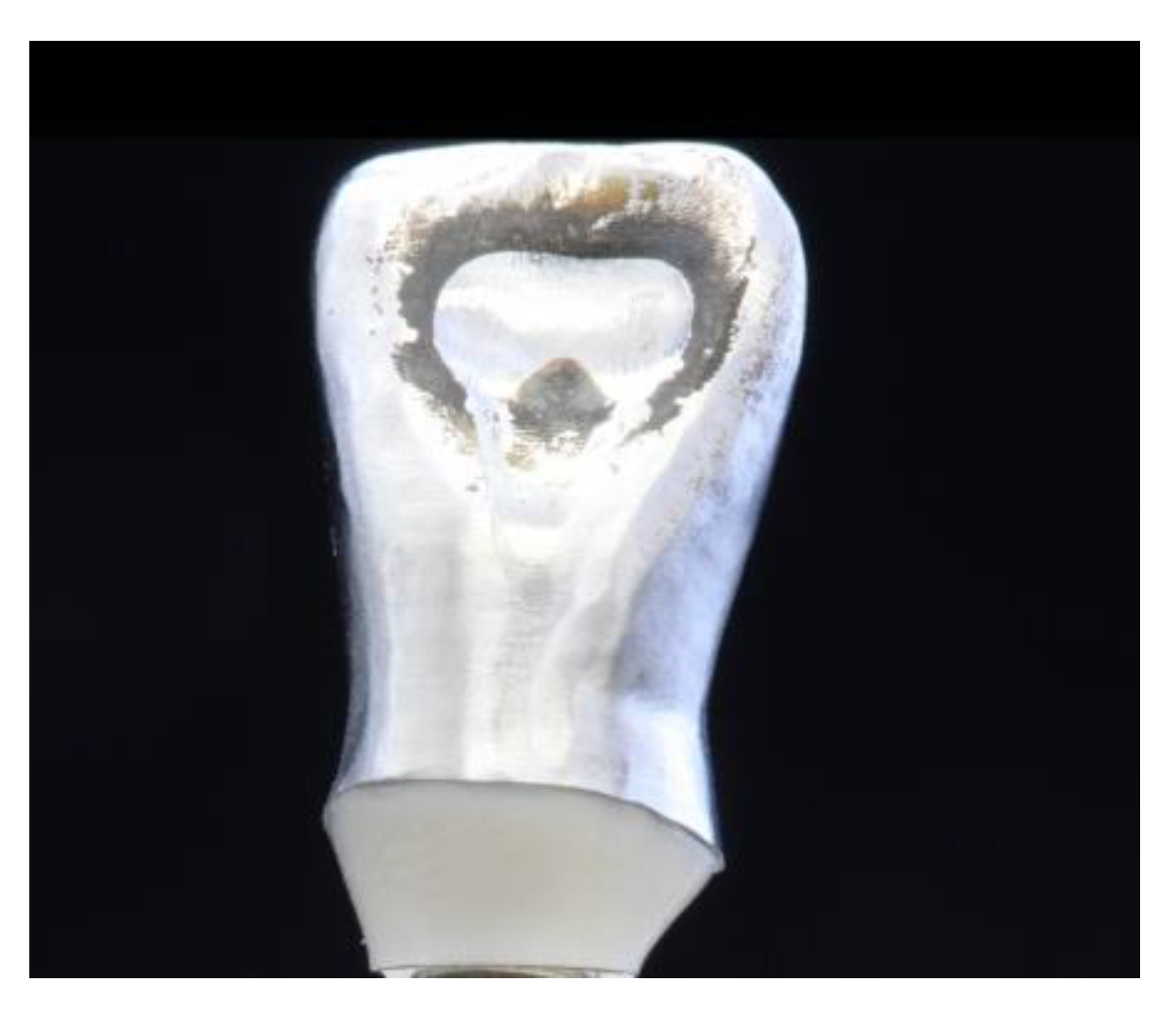 Materials 15 06927 g003