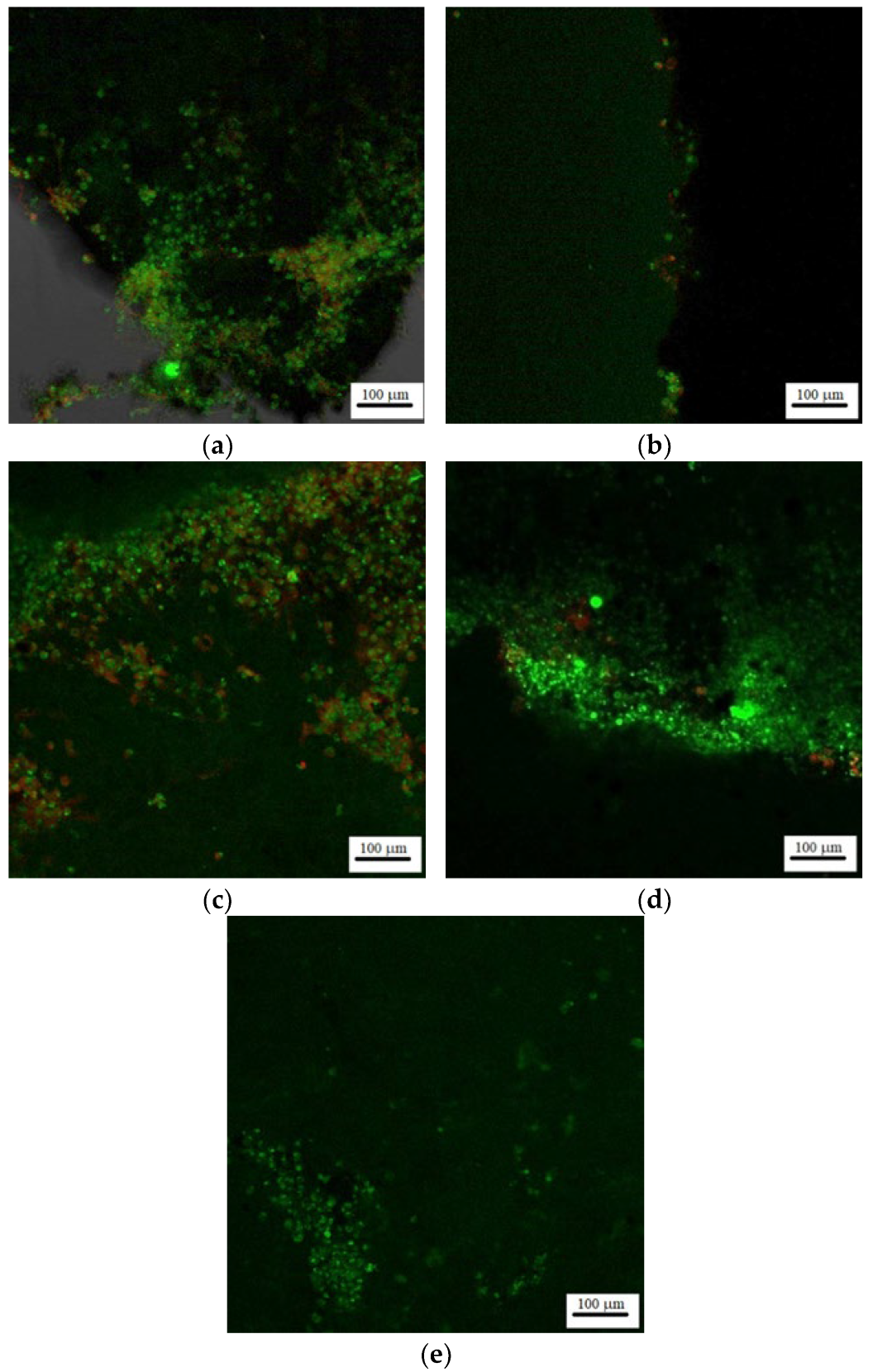 Materials 15 06942 g015
