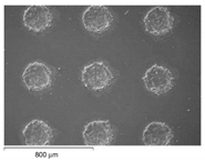 Materials 15 06945 i014 Materials 15 06945 i014