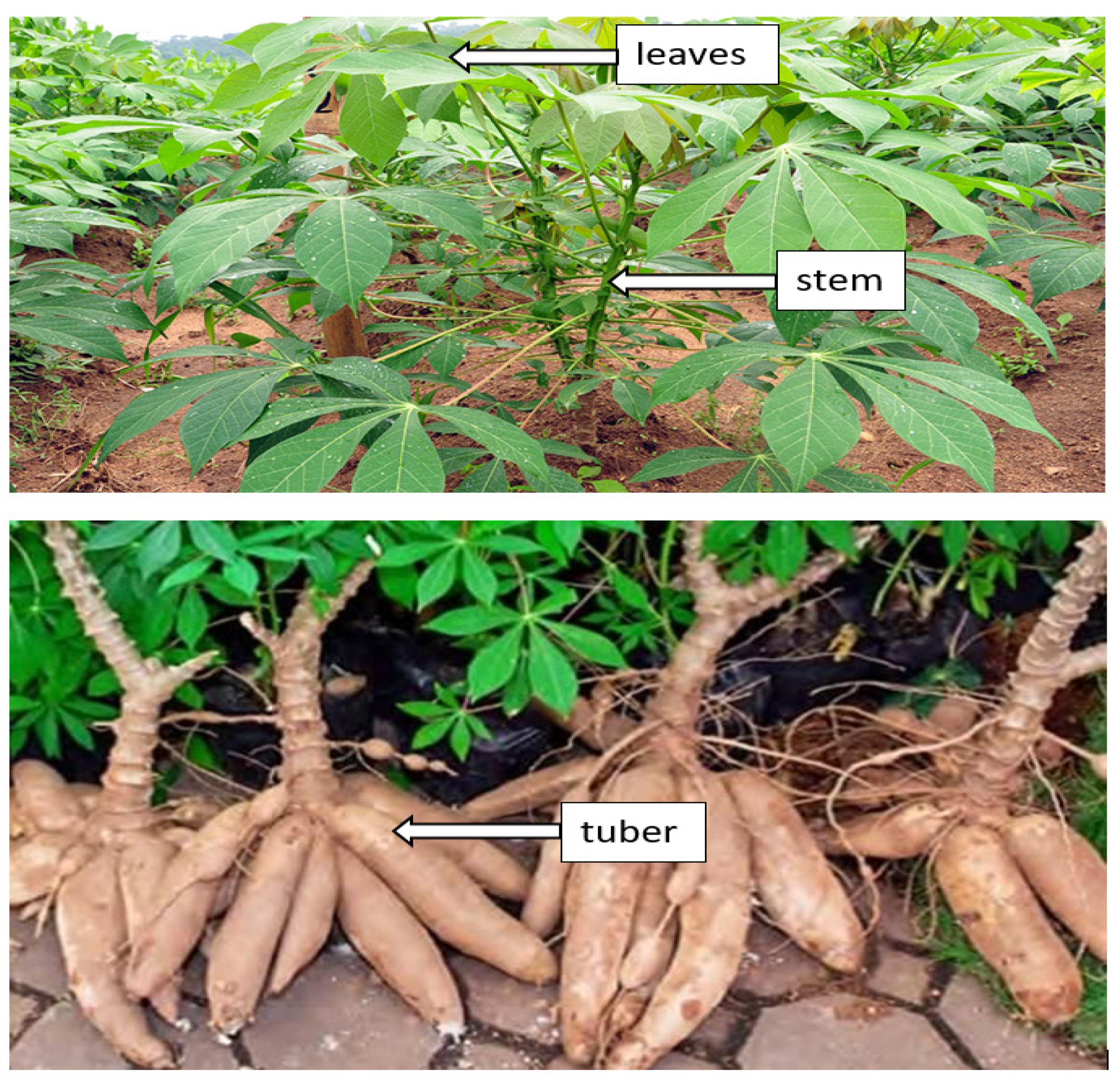 Materials 15 06992 g003 Materials 15 06992 g003