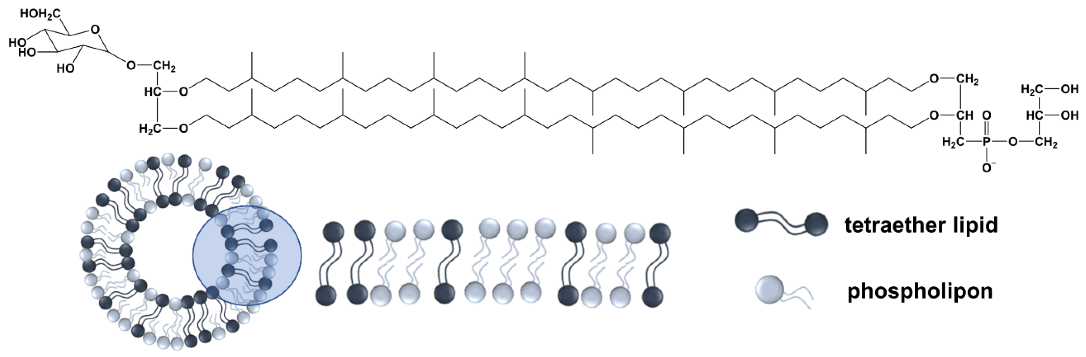 Materials 15 06995 g001