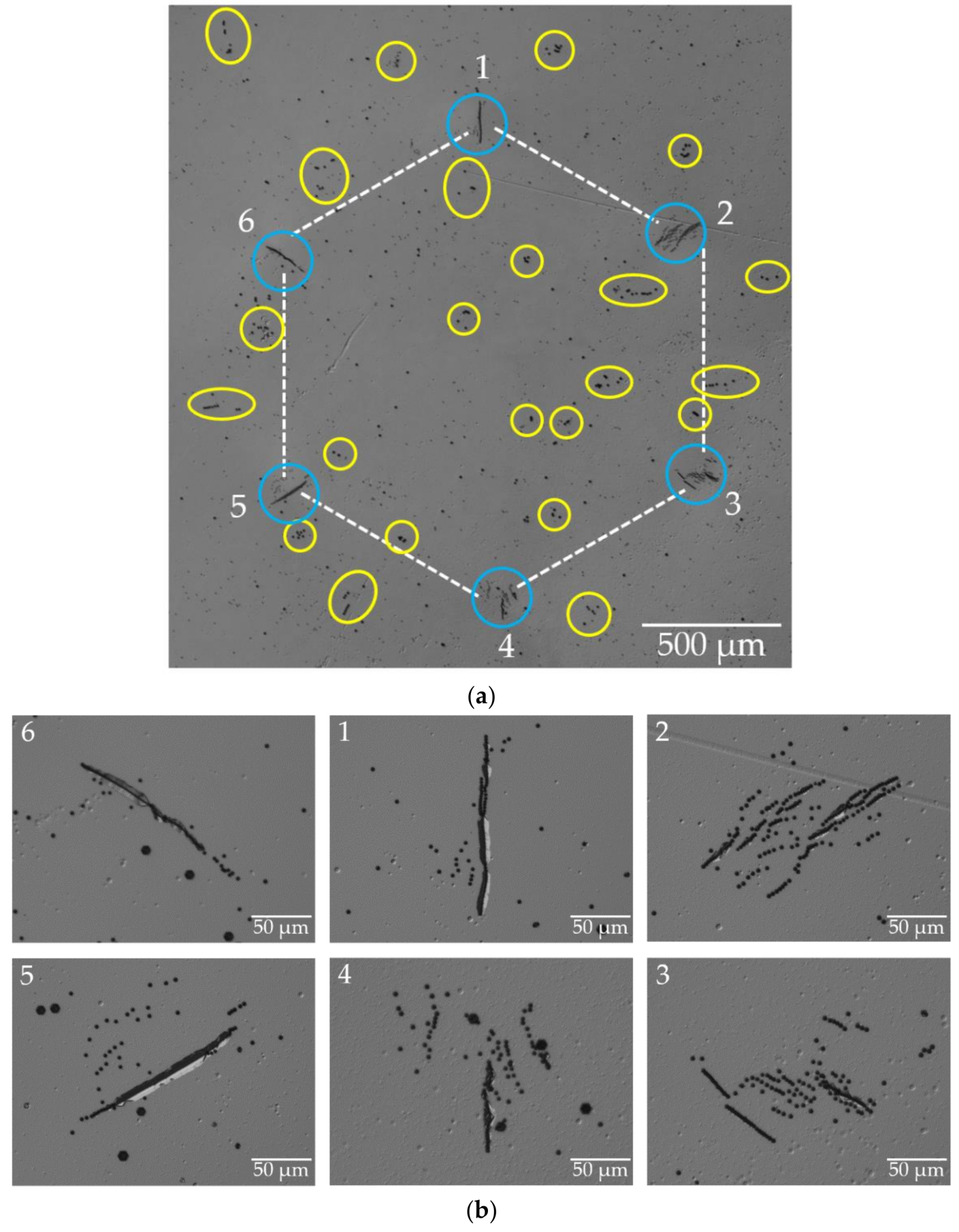 Materials 15 06996 g006