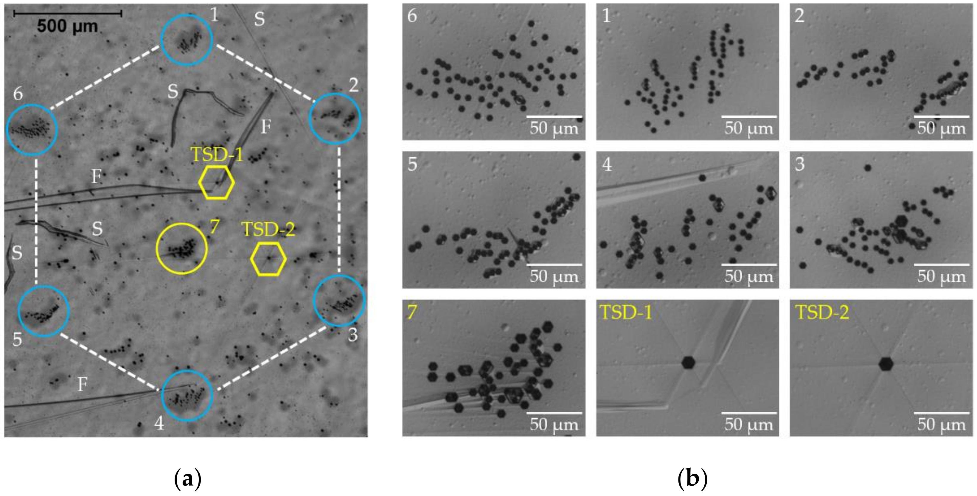 Materials 15 06996 g007