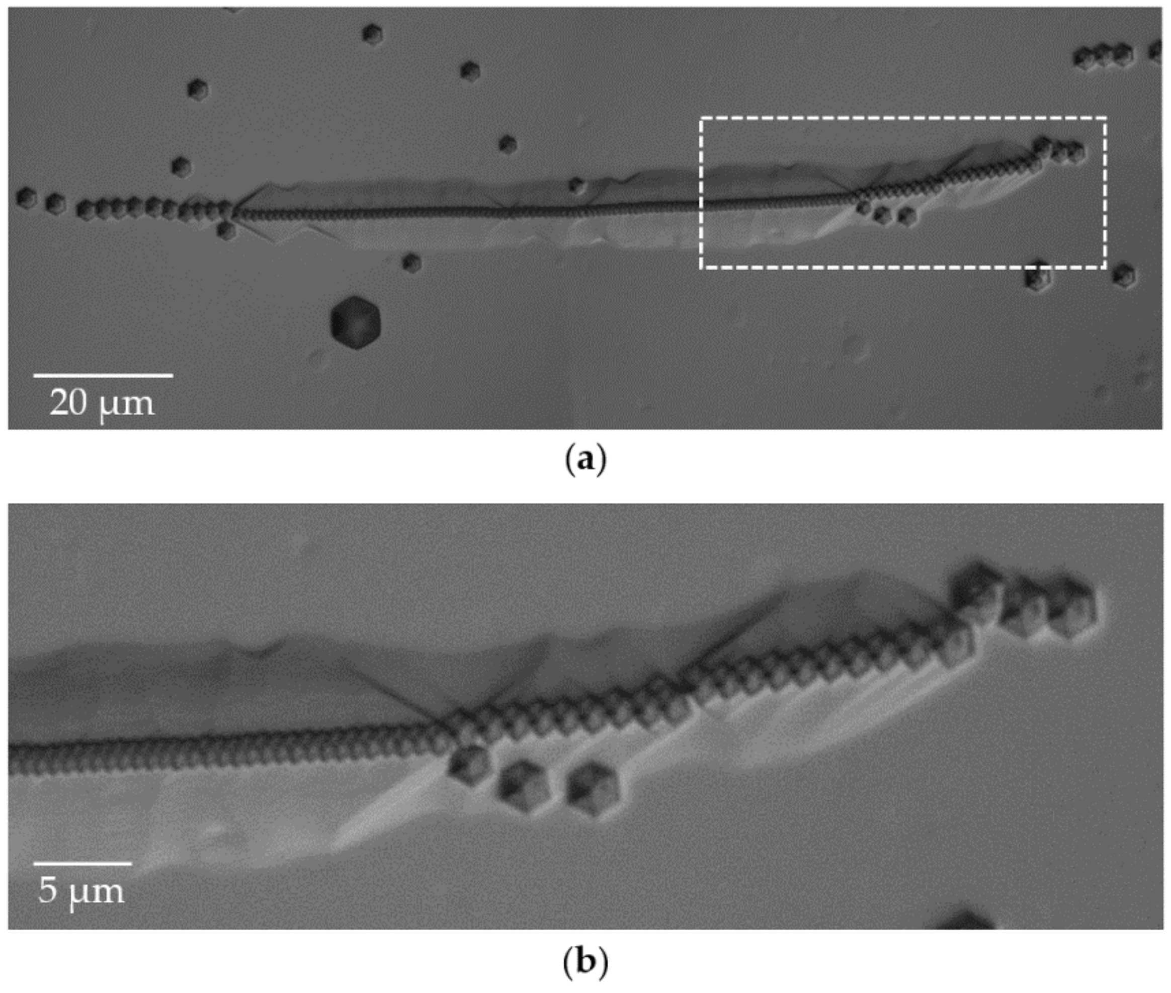 Materials 15 06996 g0a4