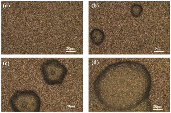 Materials 15 07023 g010