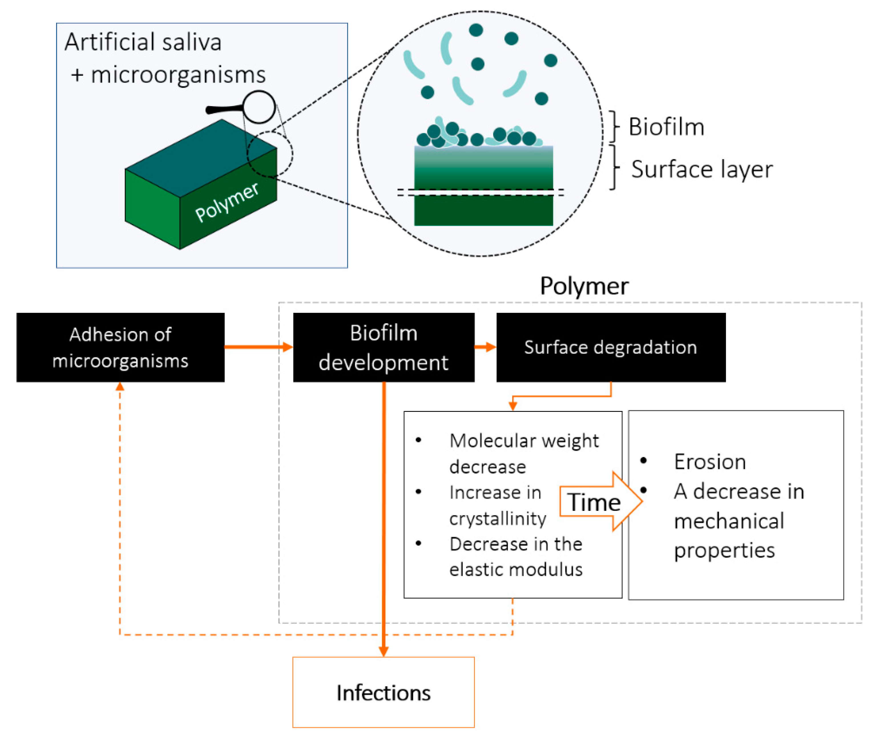 Materials 15 07061 g007