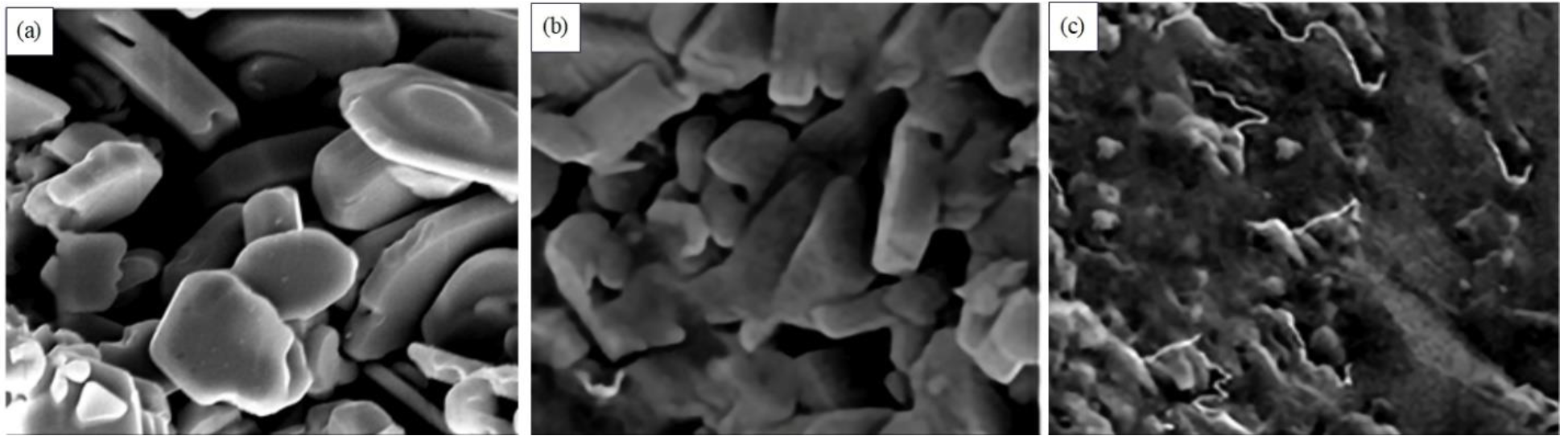 Materials 15 07096 g002