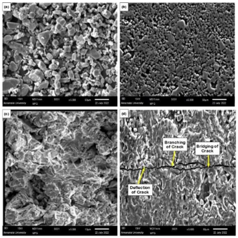 Materials 15 07096 g013