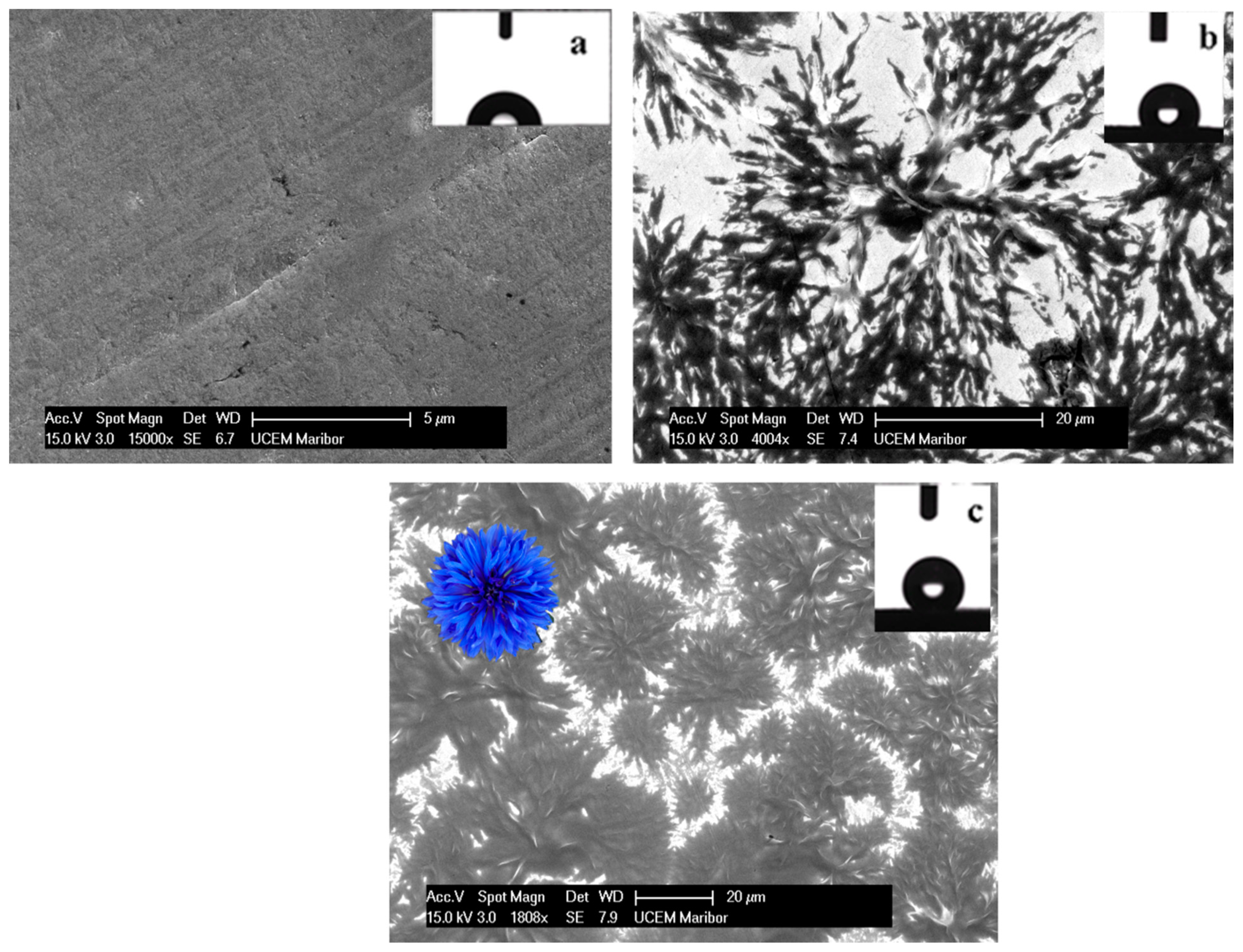 Materials 15 07104 g001