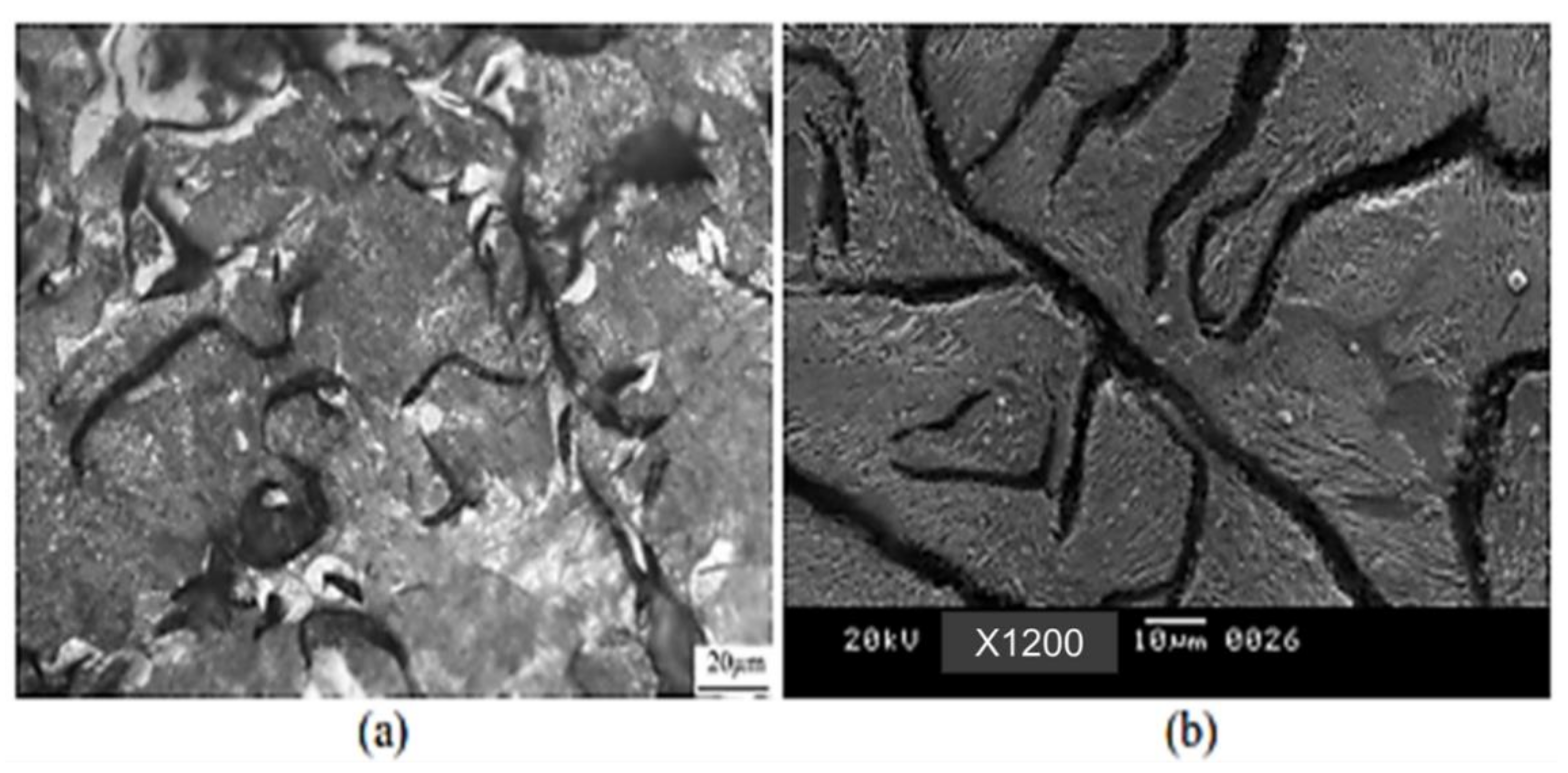 Materials 15 07109 g023 Materials 15 07109 g023