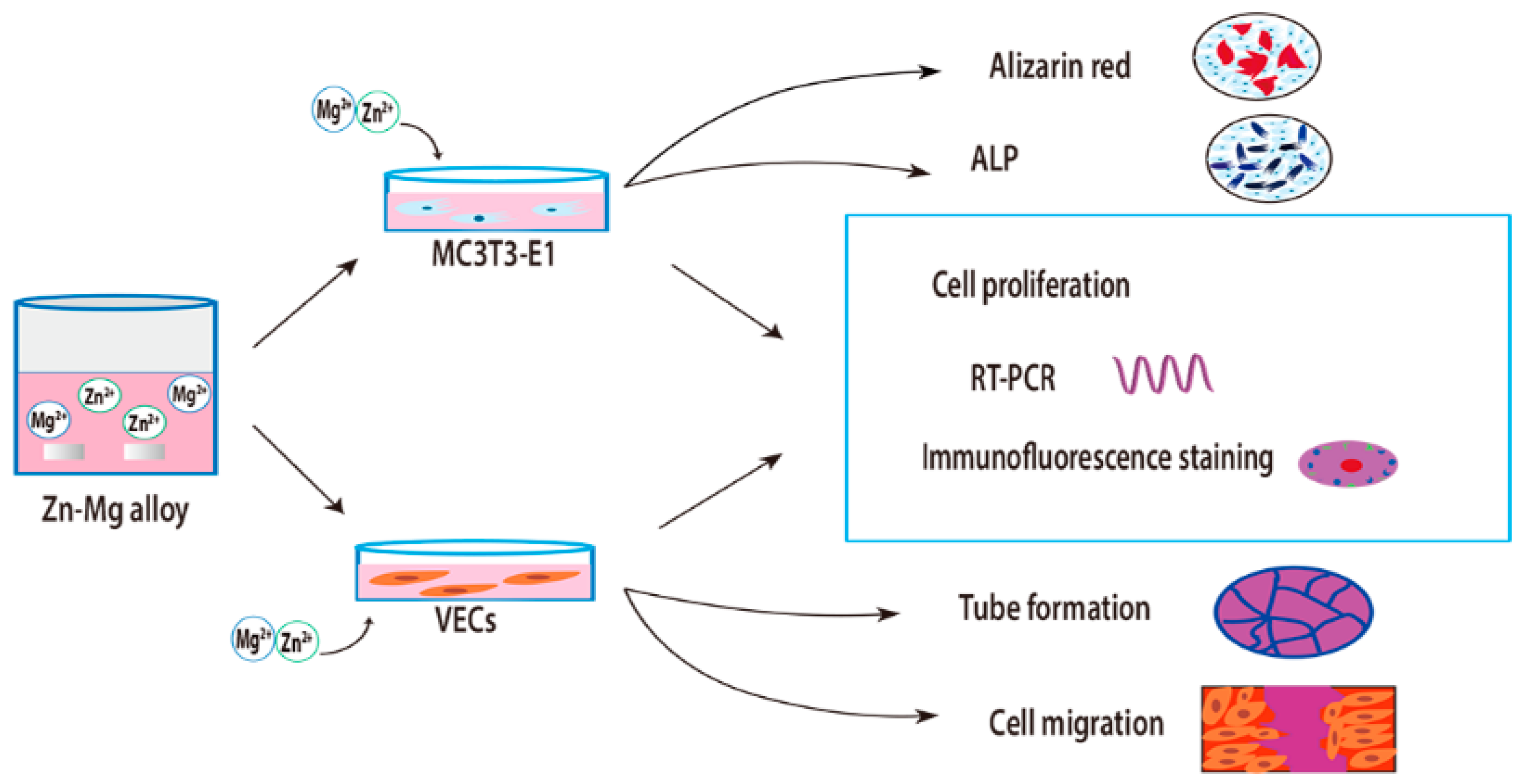 Materials 15 07117 g001