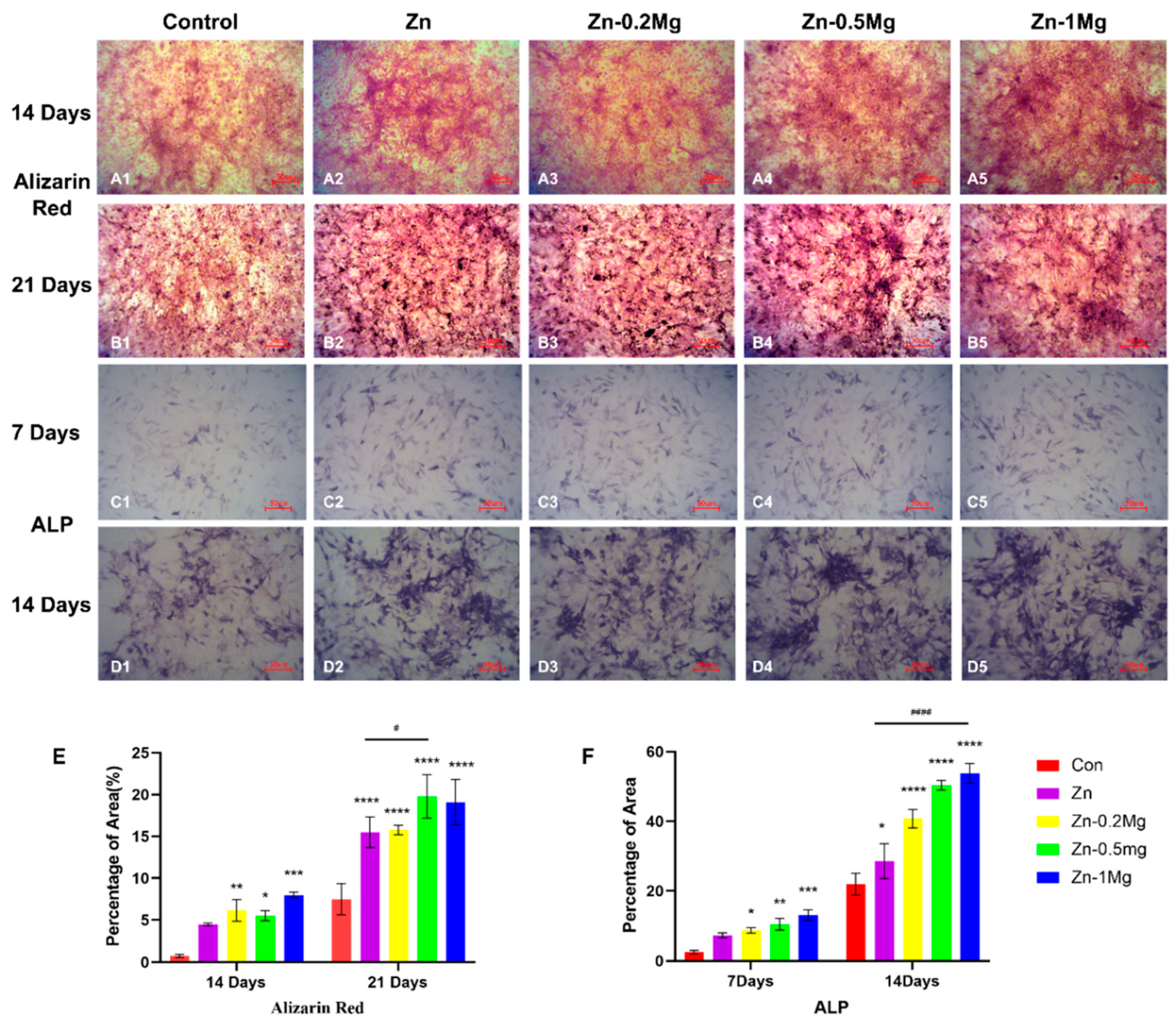 Materials 15 07117 g004