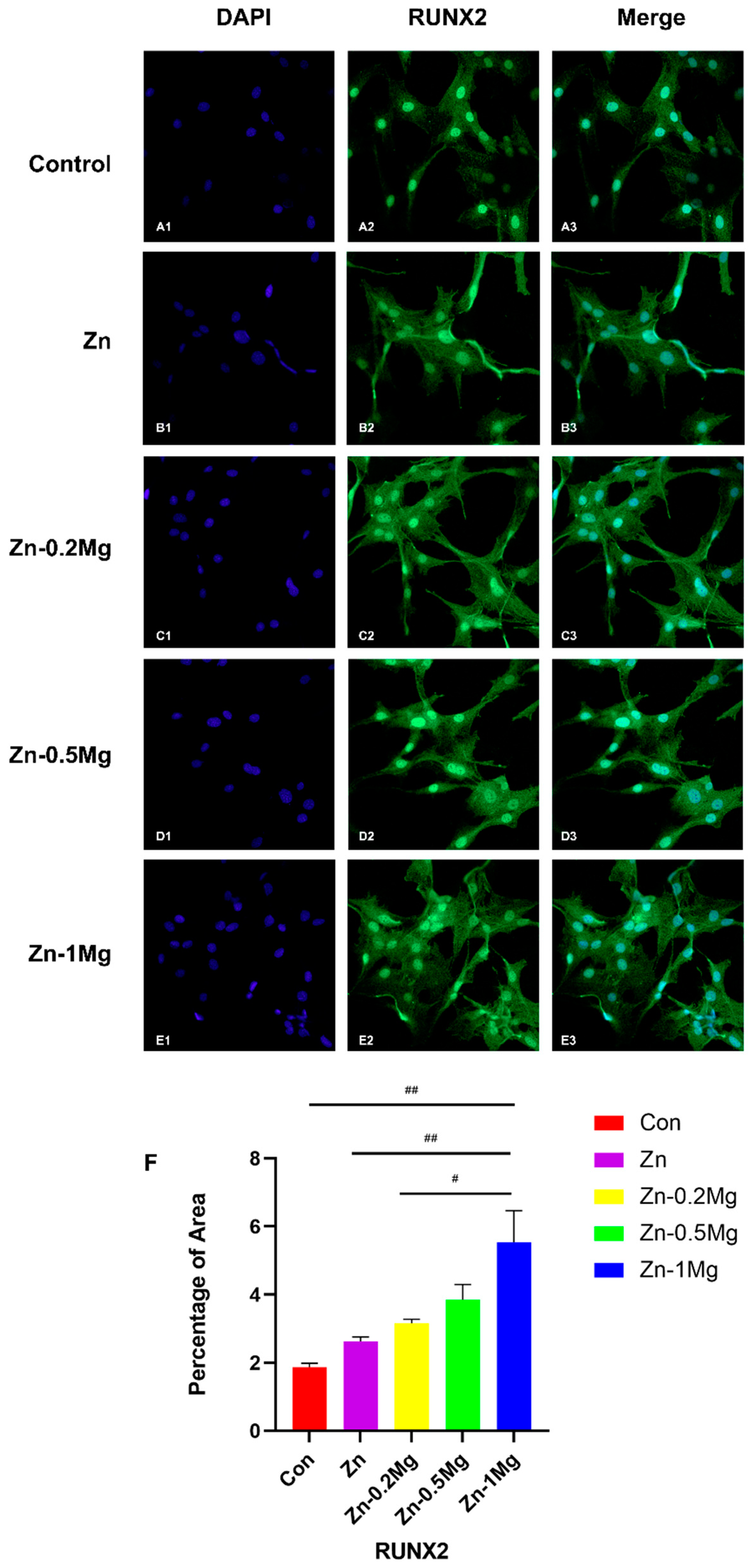 Materials 15 07117 g006